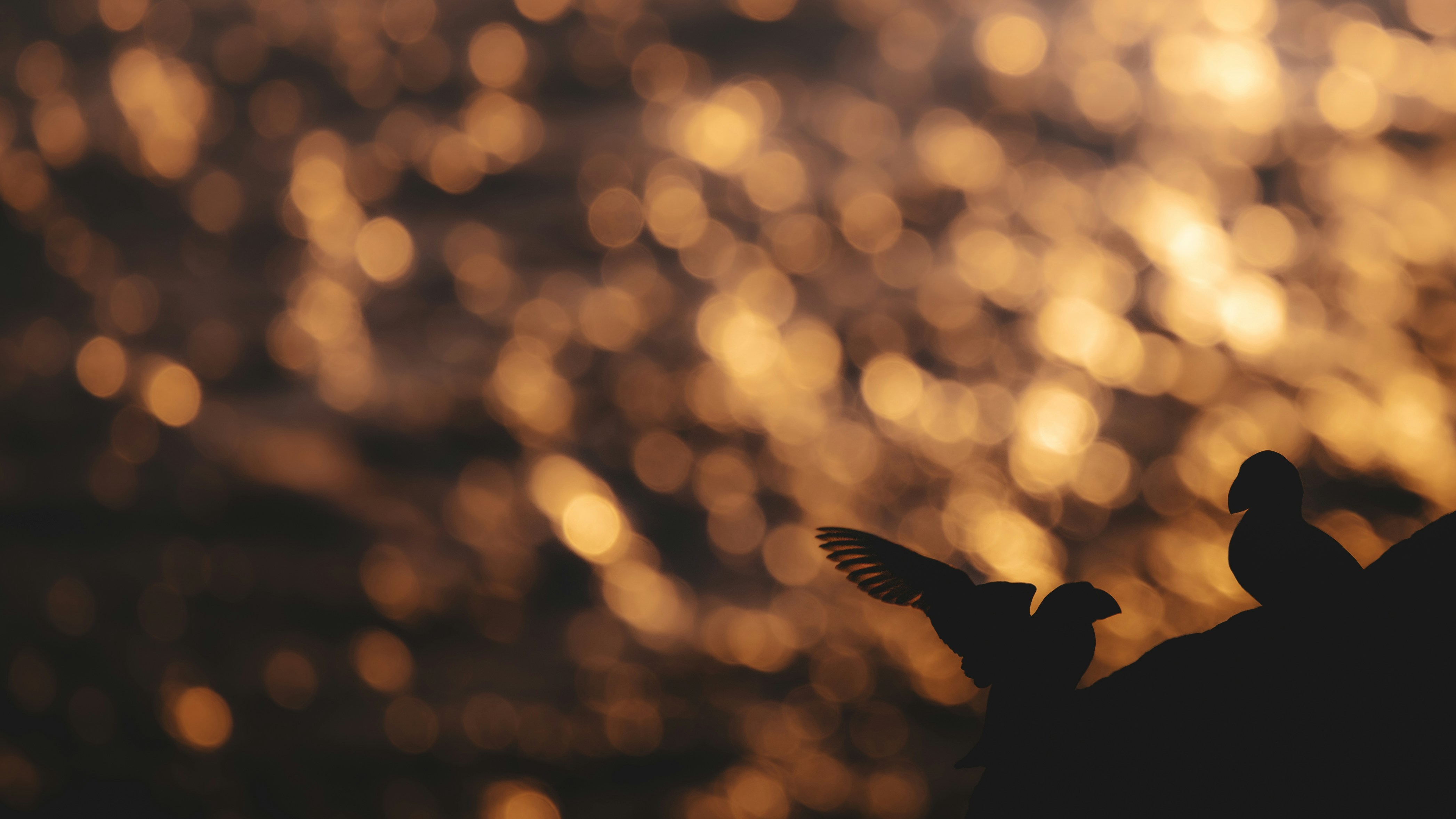 Silhouette against a shimmering golden bokeh background.