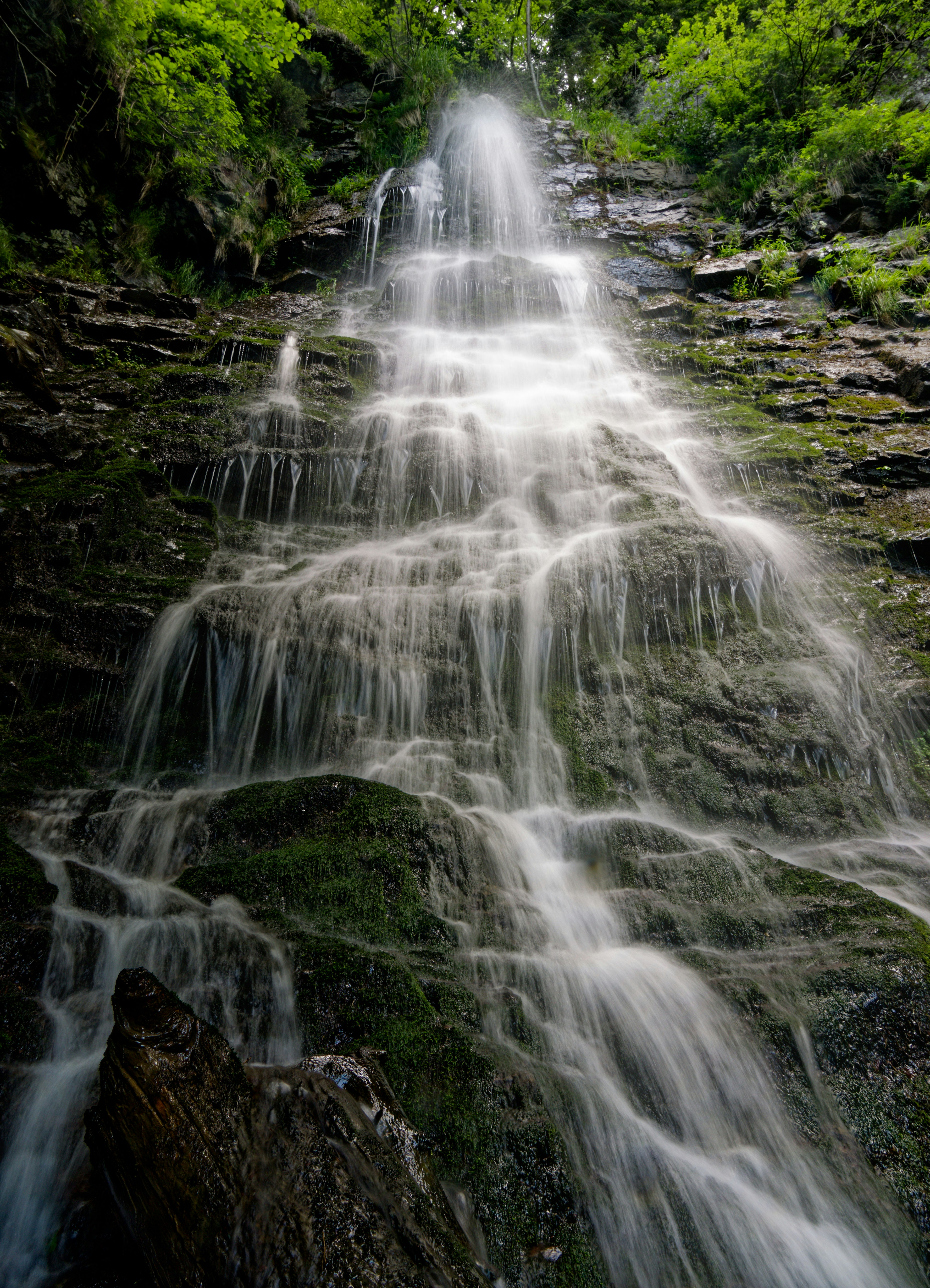 Una cascata scende giù per rocce muschiose in una foresta rigogliosa.