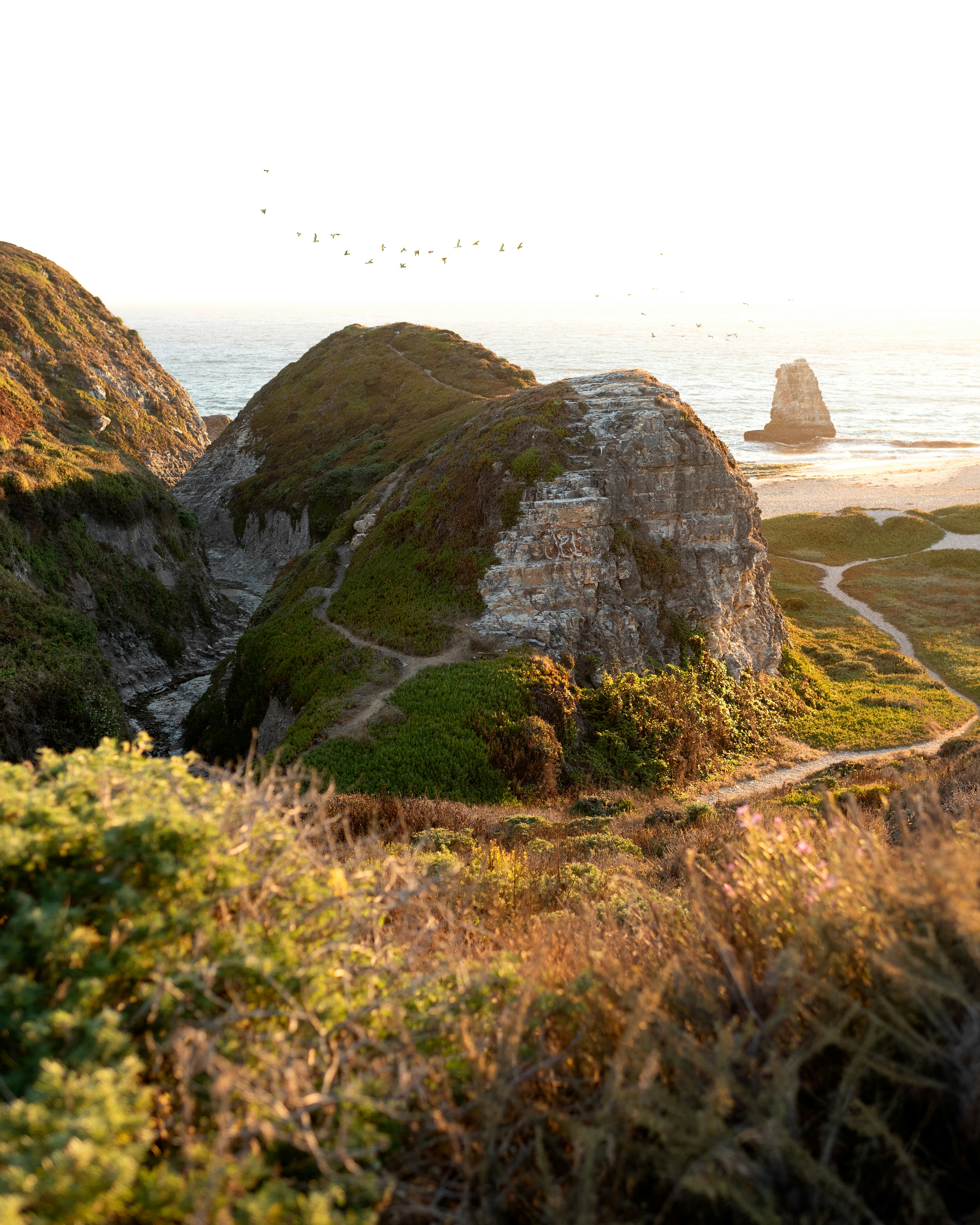 Golden hour light illuminates coastal cliffs and a sea stack.