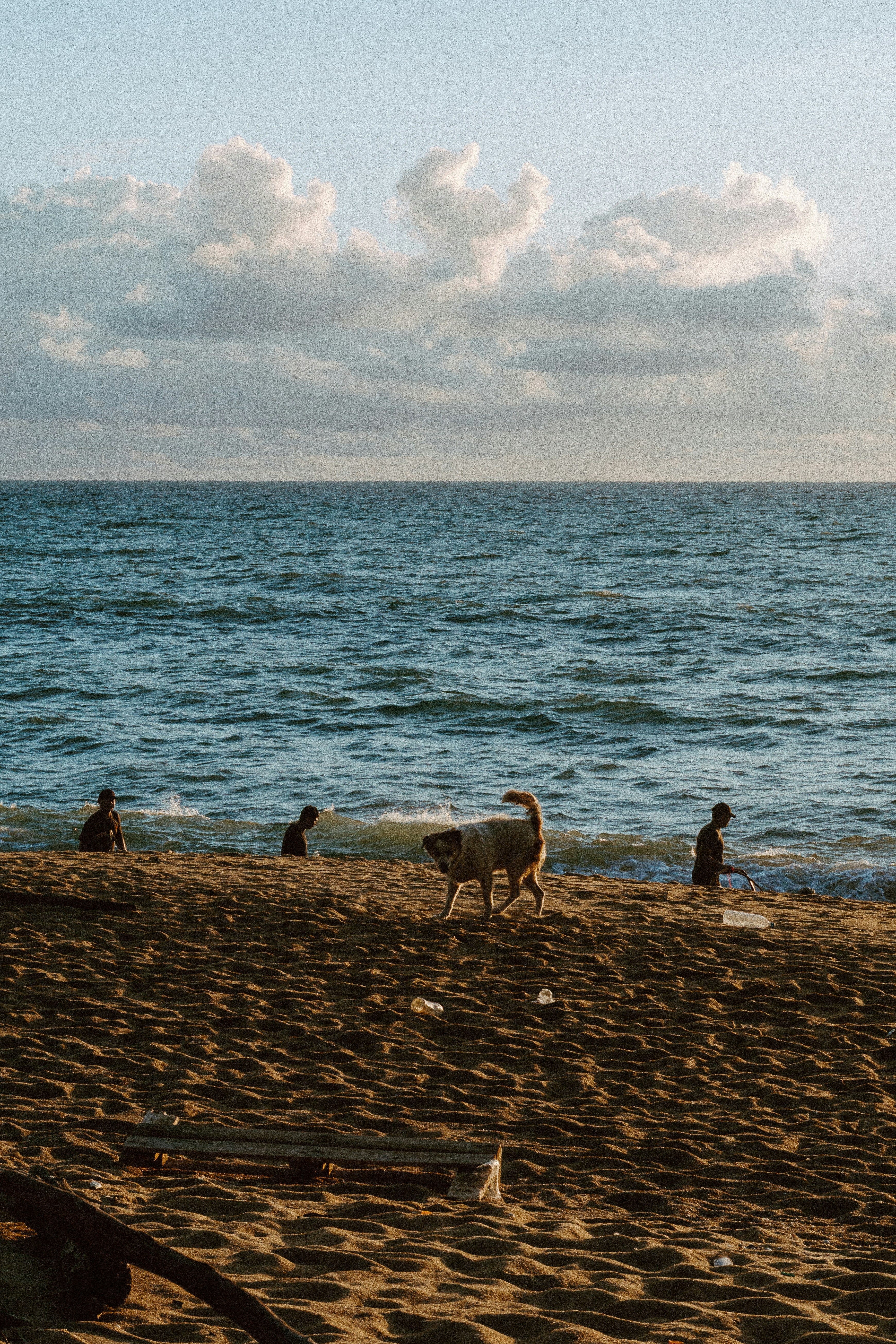 Photo by setsj