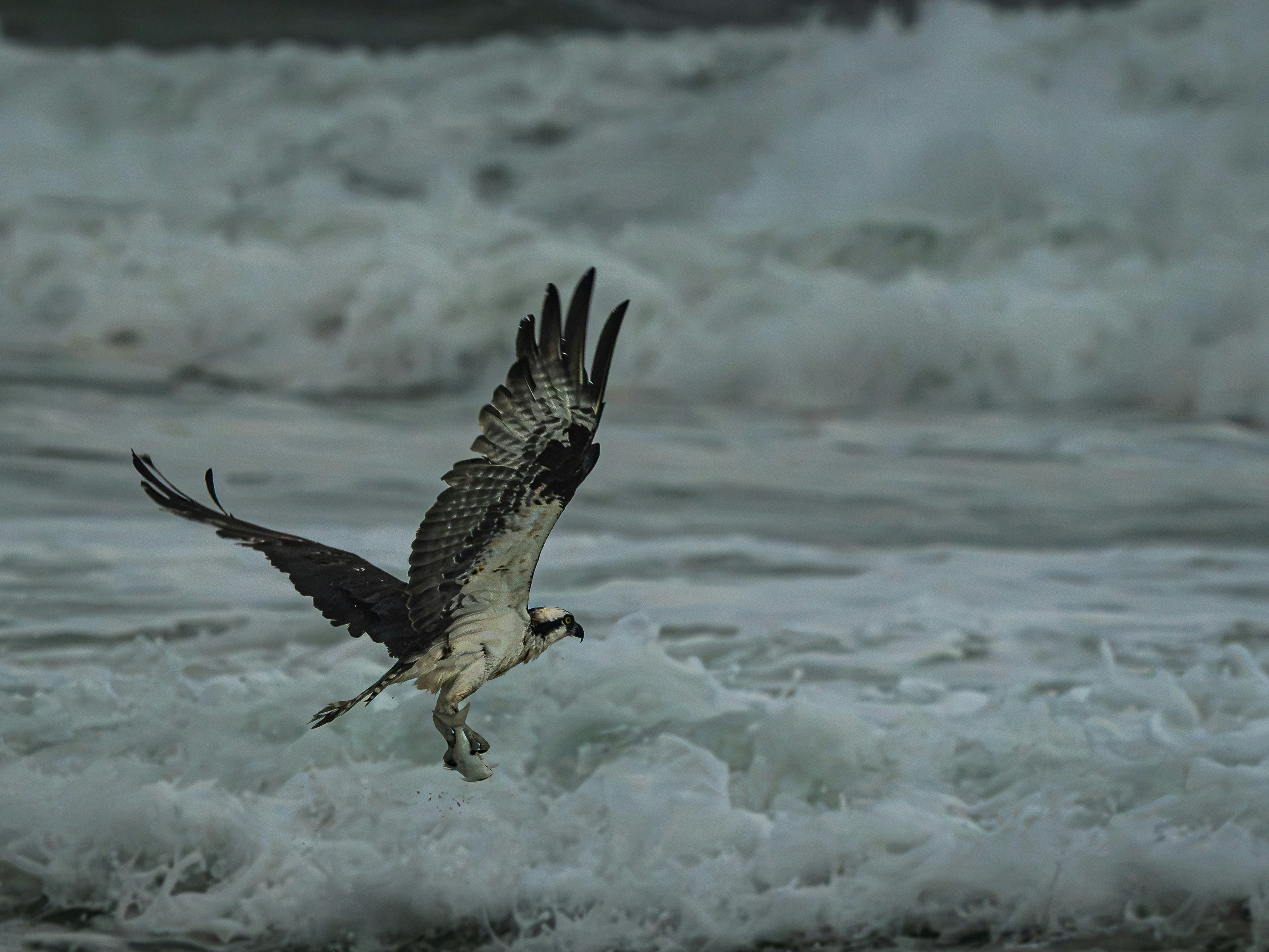 Sea Hawk helicopter makes emergency landing in Arabian Sea; one crew member missing
