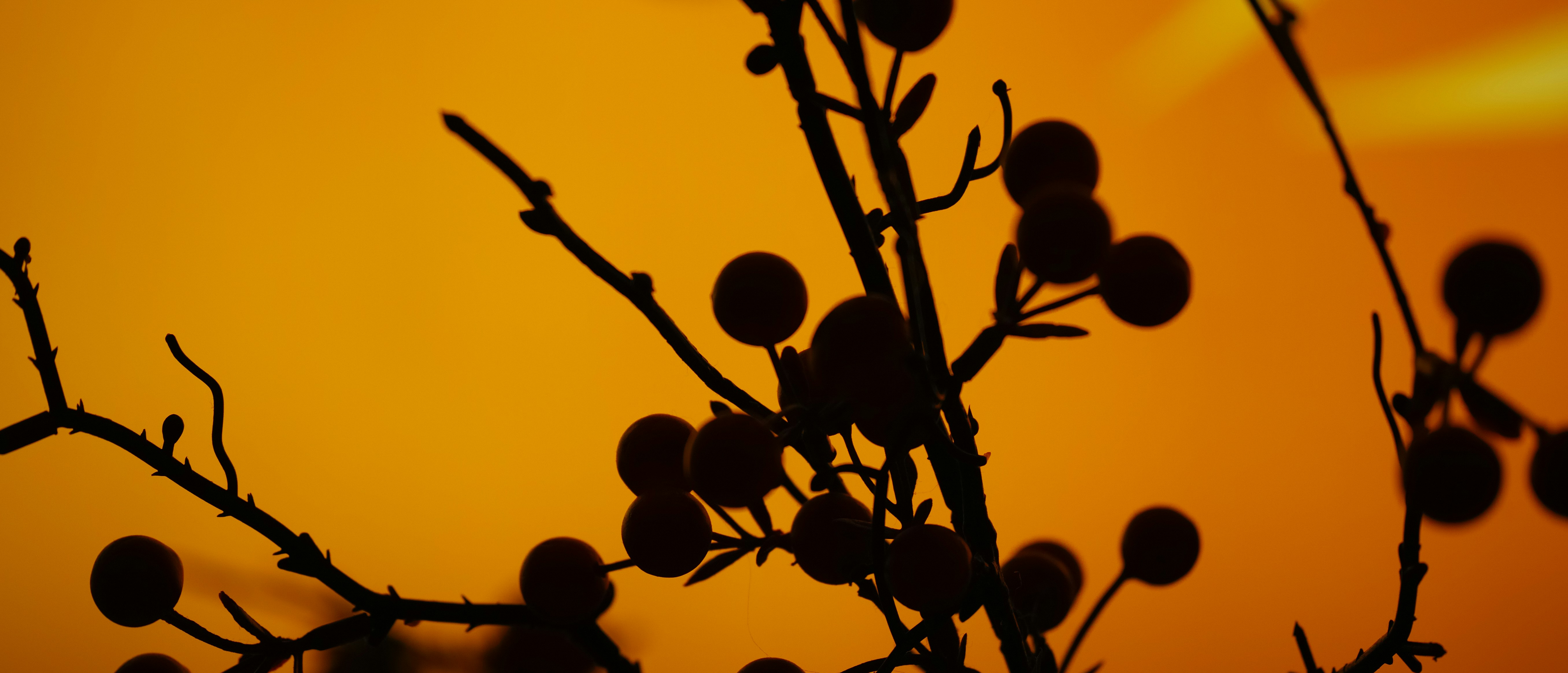 Photo by anchora9e