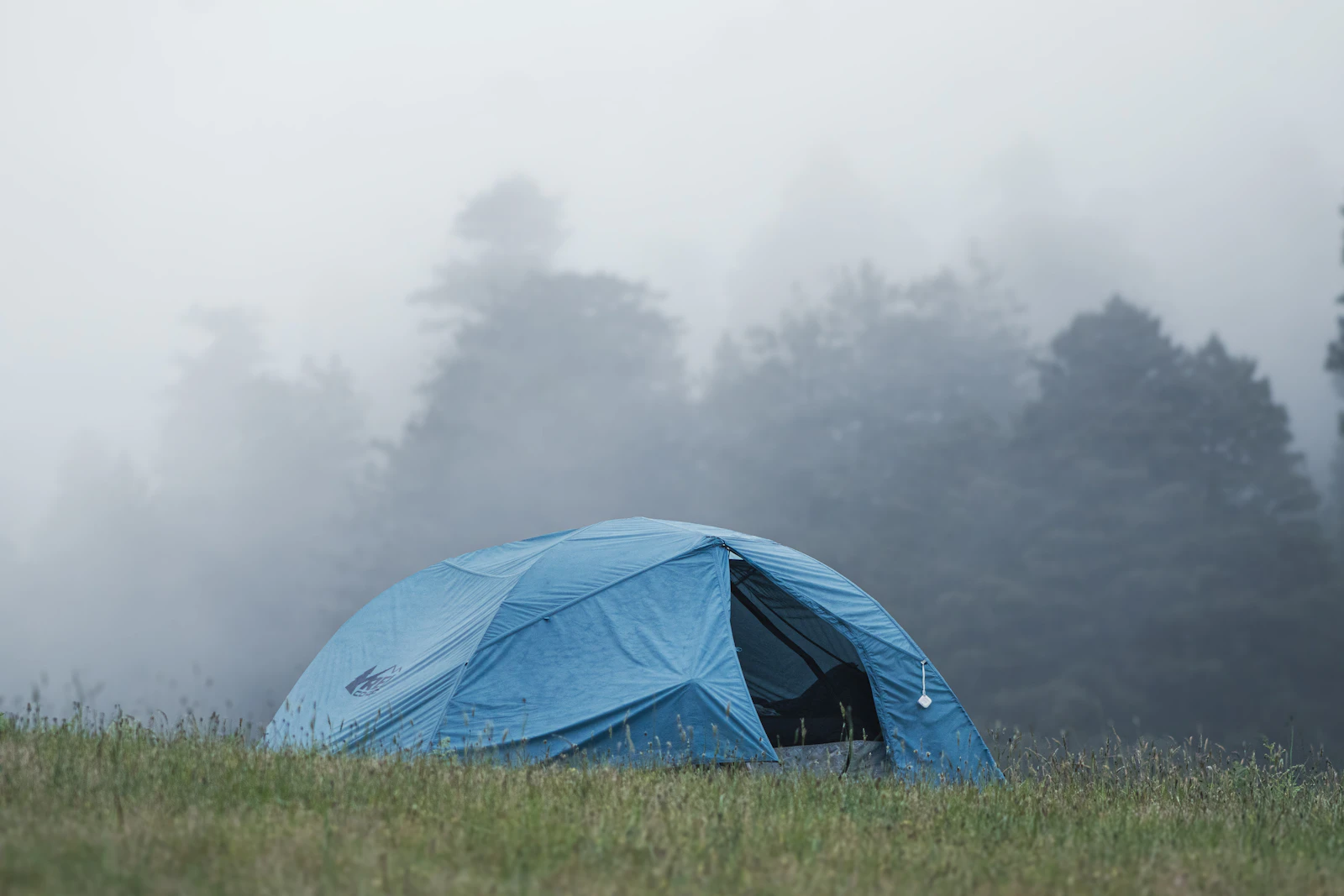 A blue dome tent on a grassy campsite with thick fog behind it, the trees at the edge of the campground barely visible
