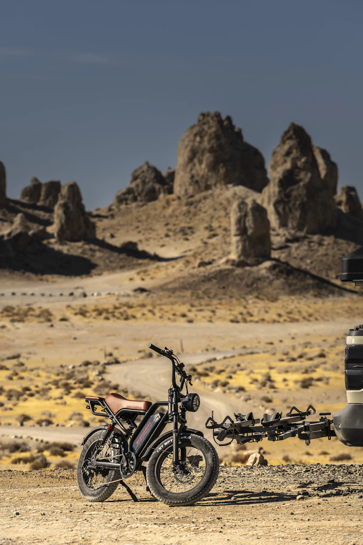 Electric Beach Bike