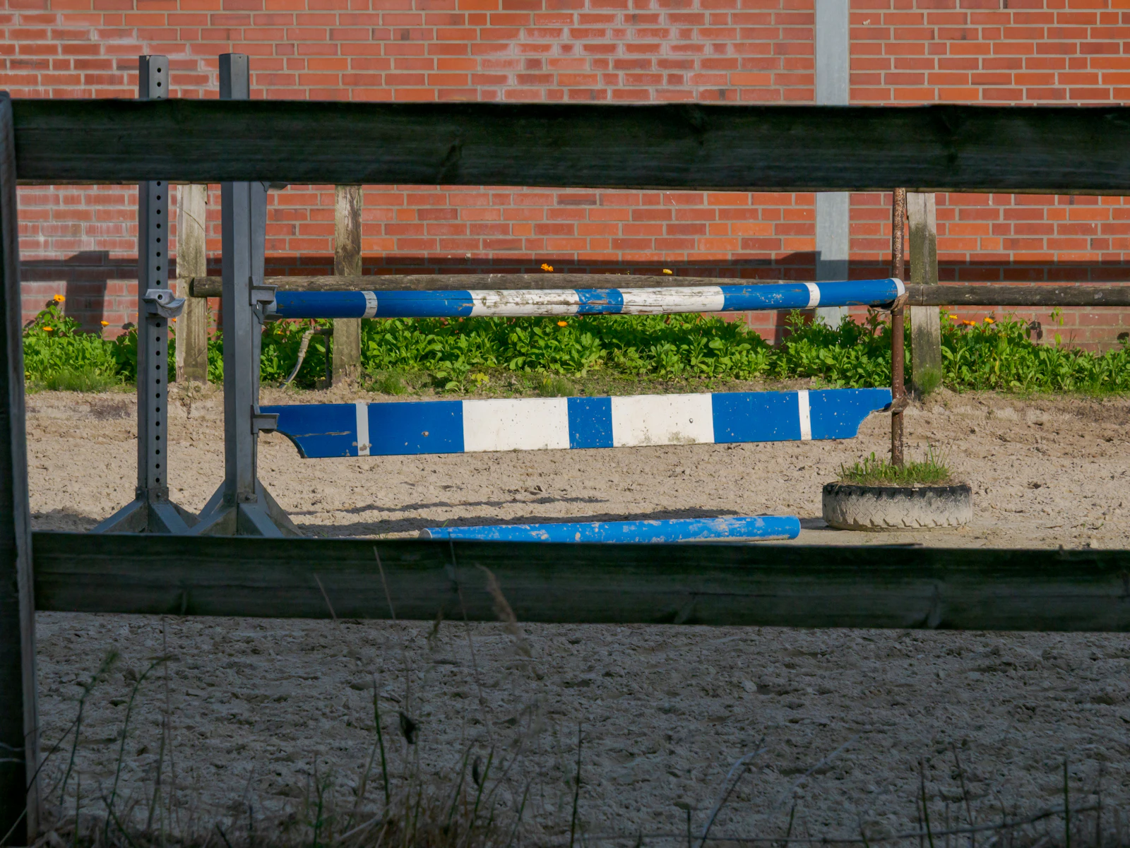 Blue and white jump poles laid out on an empty sand arena