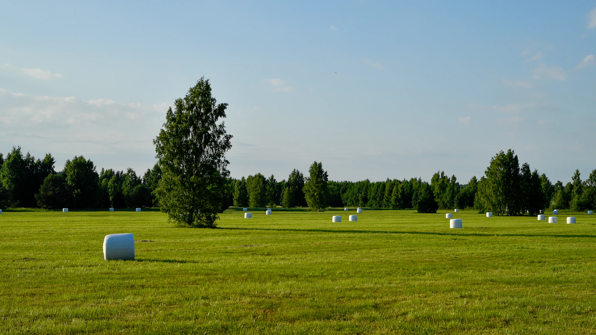 Hay bales scattered across a green field with trees.