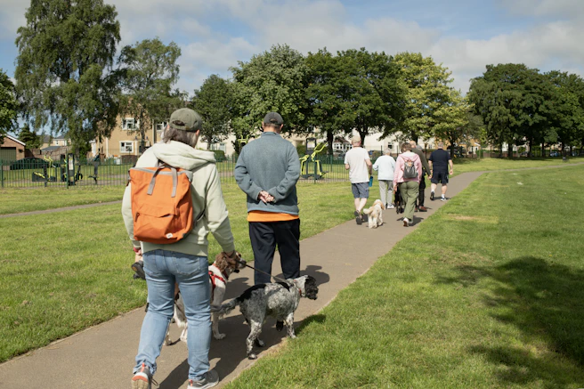 Group of people walking dogs on a sunny park path.