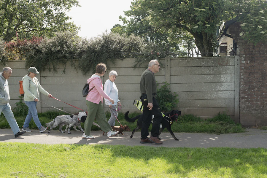 A group of people walking their dogs along a footpath
