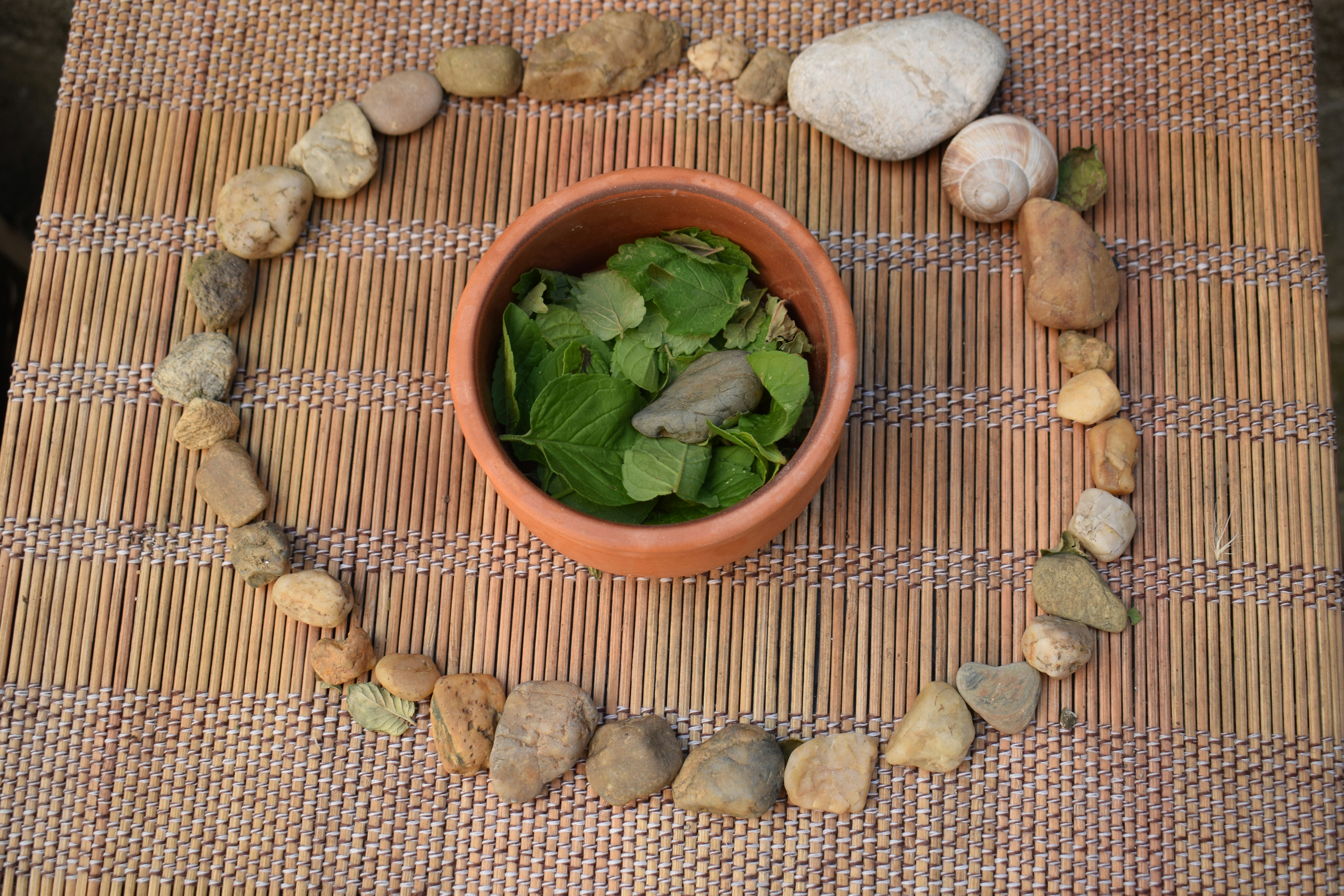 Salada com folhas verdes e frutas