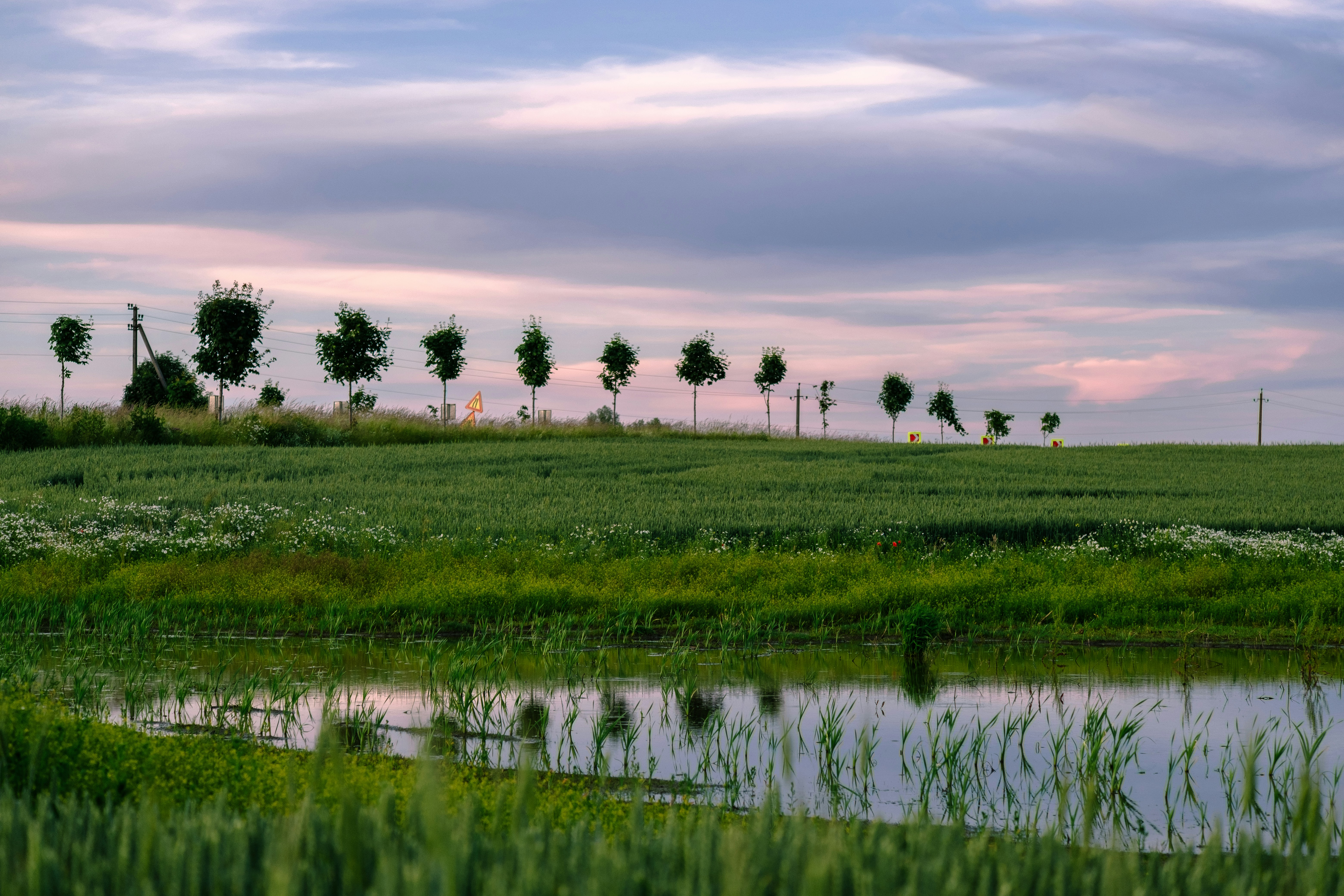 Green field, calm water reflecting trees, and a cloudy sky.