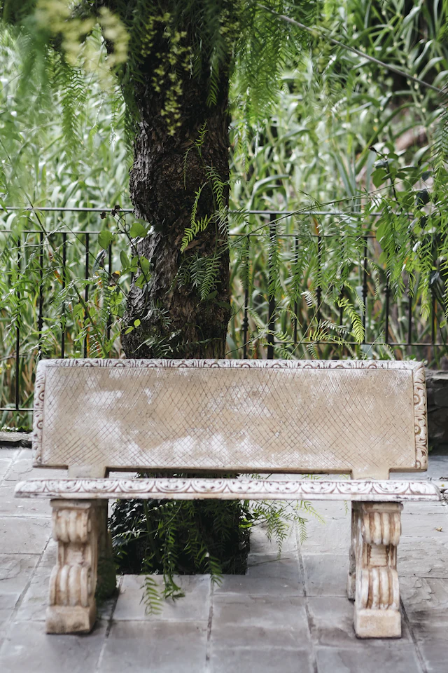 Ornate stone bench under a tree surrounded by green plants