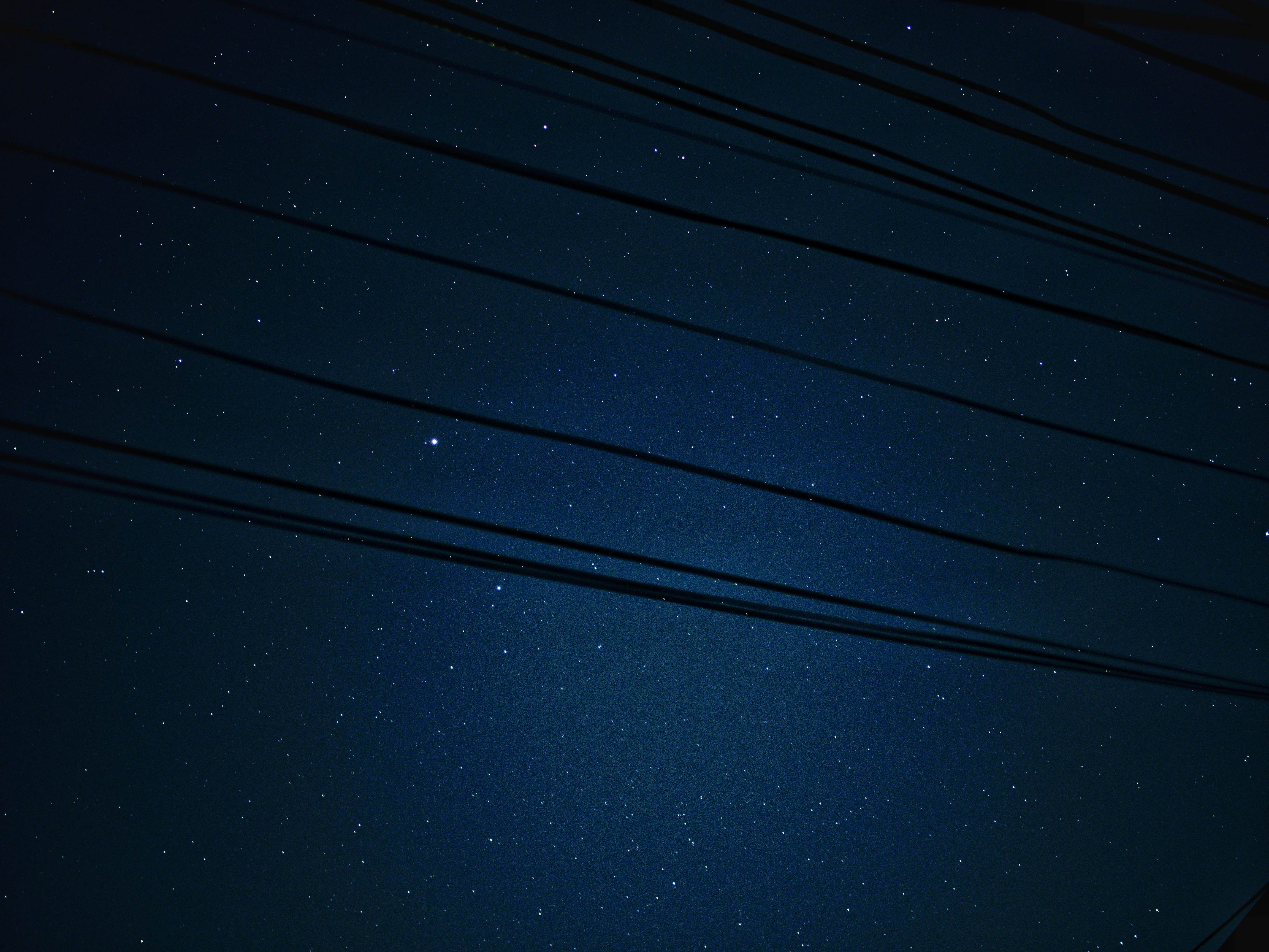Wallpaper