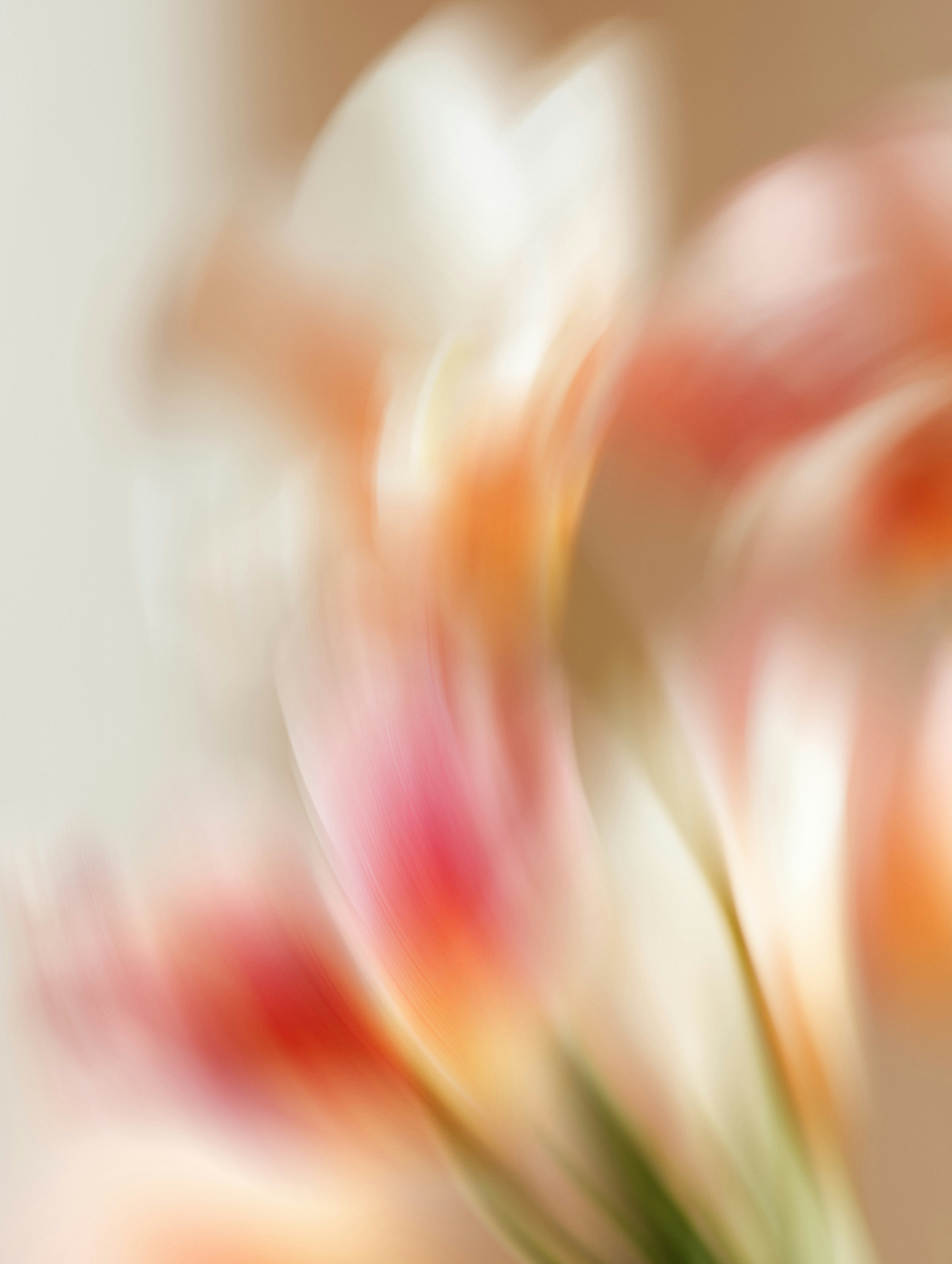 Abstract blurred flowers in soft pastel colors