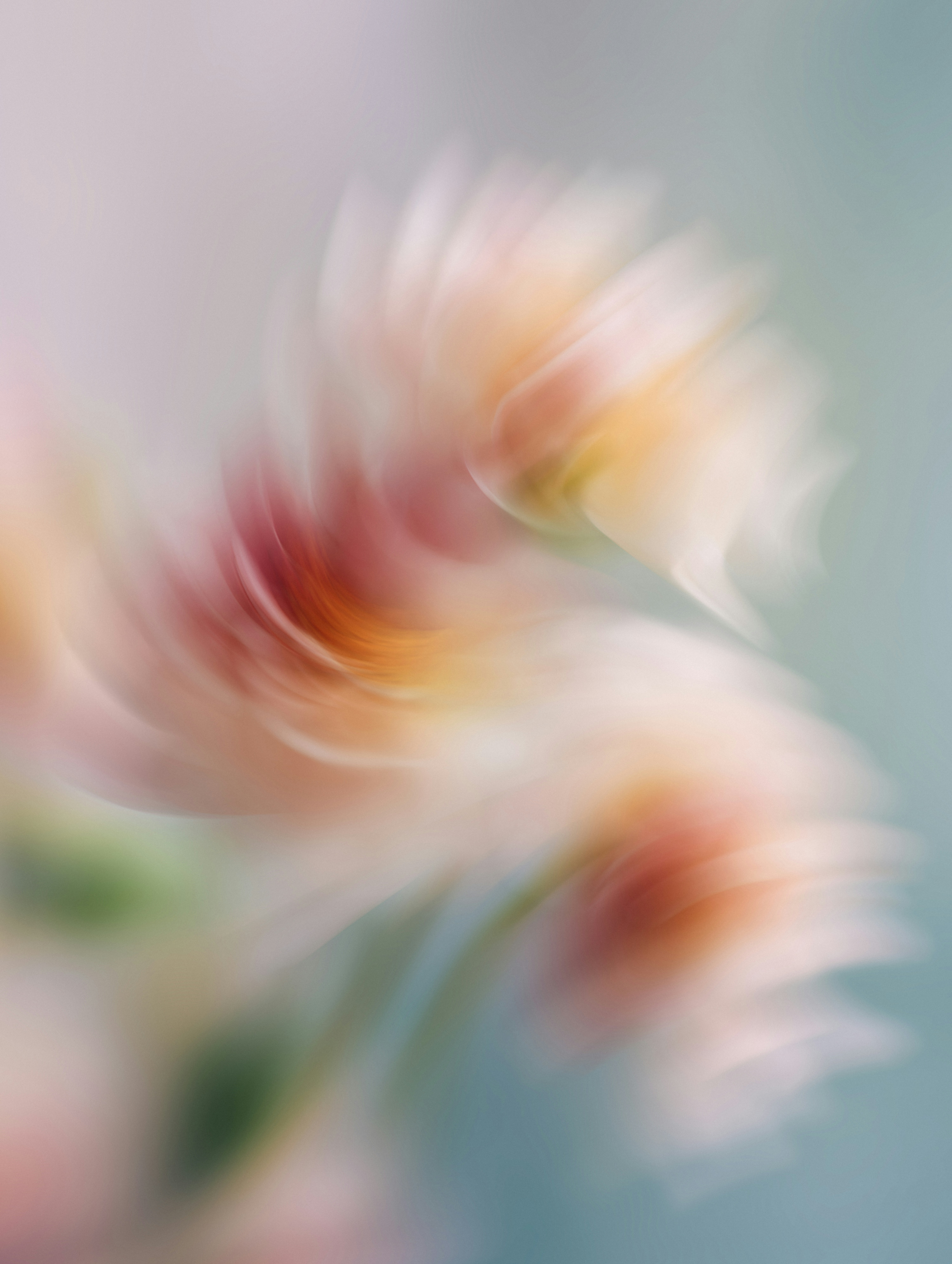 Abstract swirling flowers with soft pastel colors