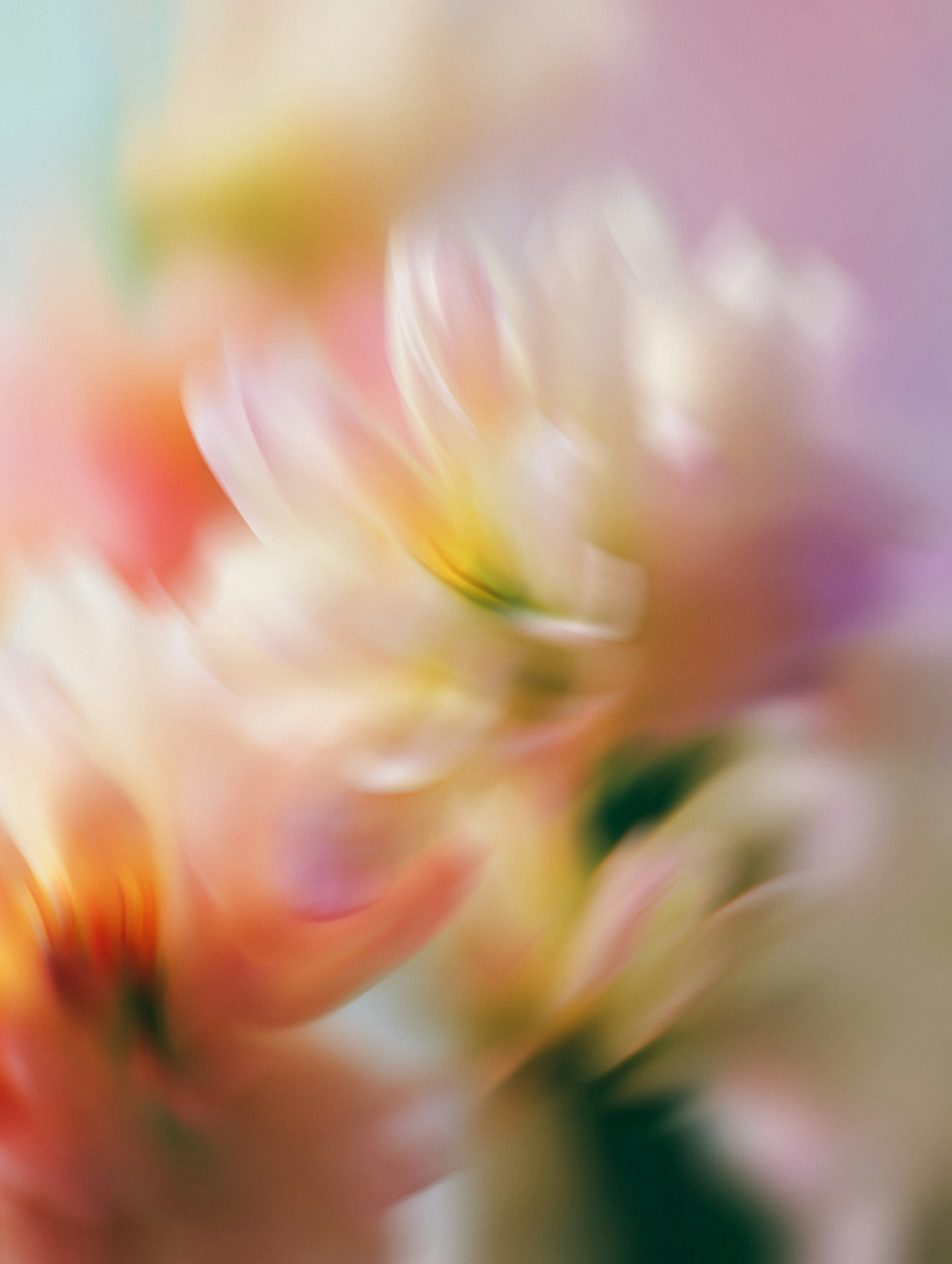 Abstract flowers with soft pastel colors