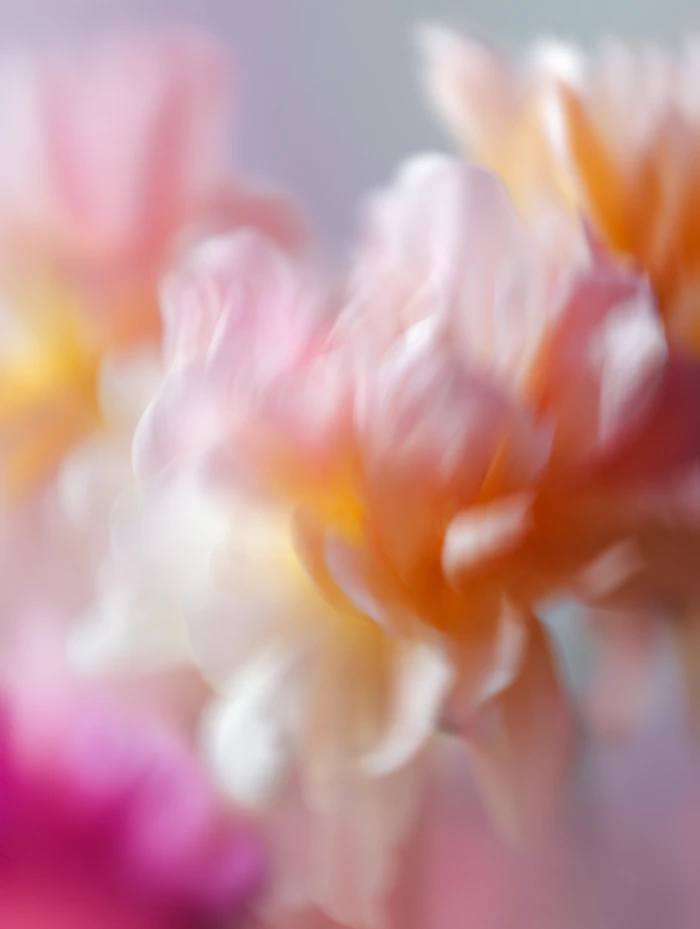 Flores abstractas en tonos cálidos