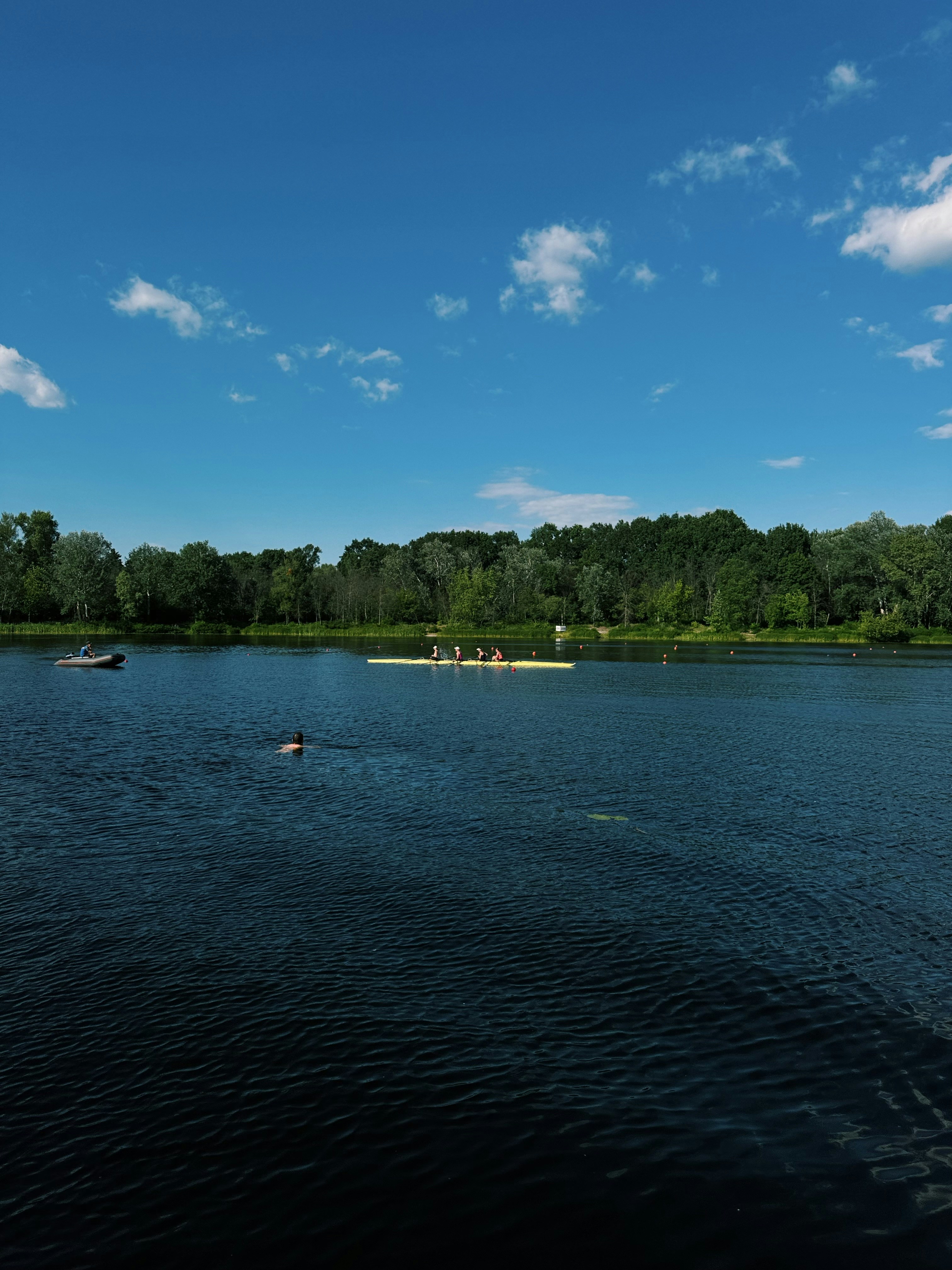 Rowers and a swimmer on a lake with a treeline.