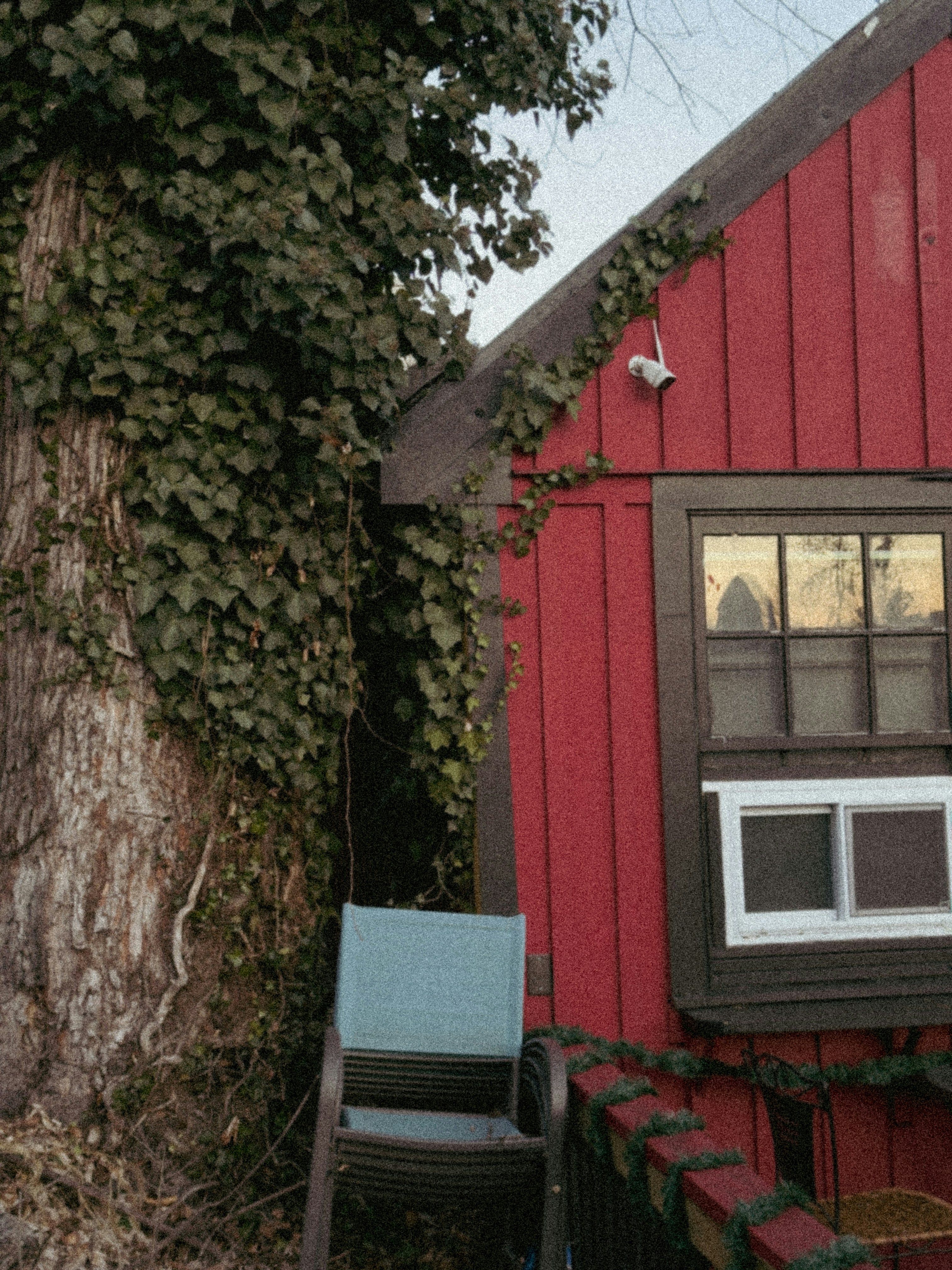 Red building with ivy-covered tree and stacked chairs.