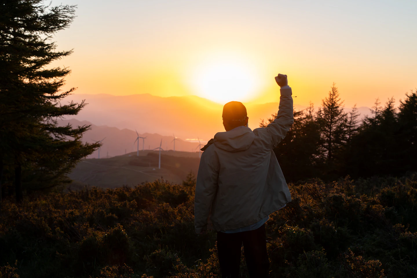 A raised fist against a mountain sunset