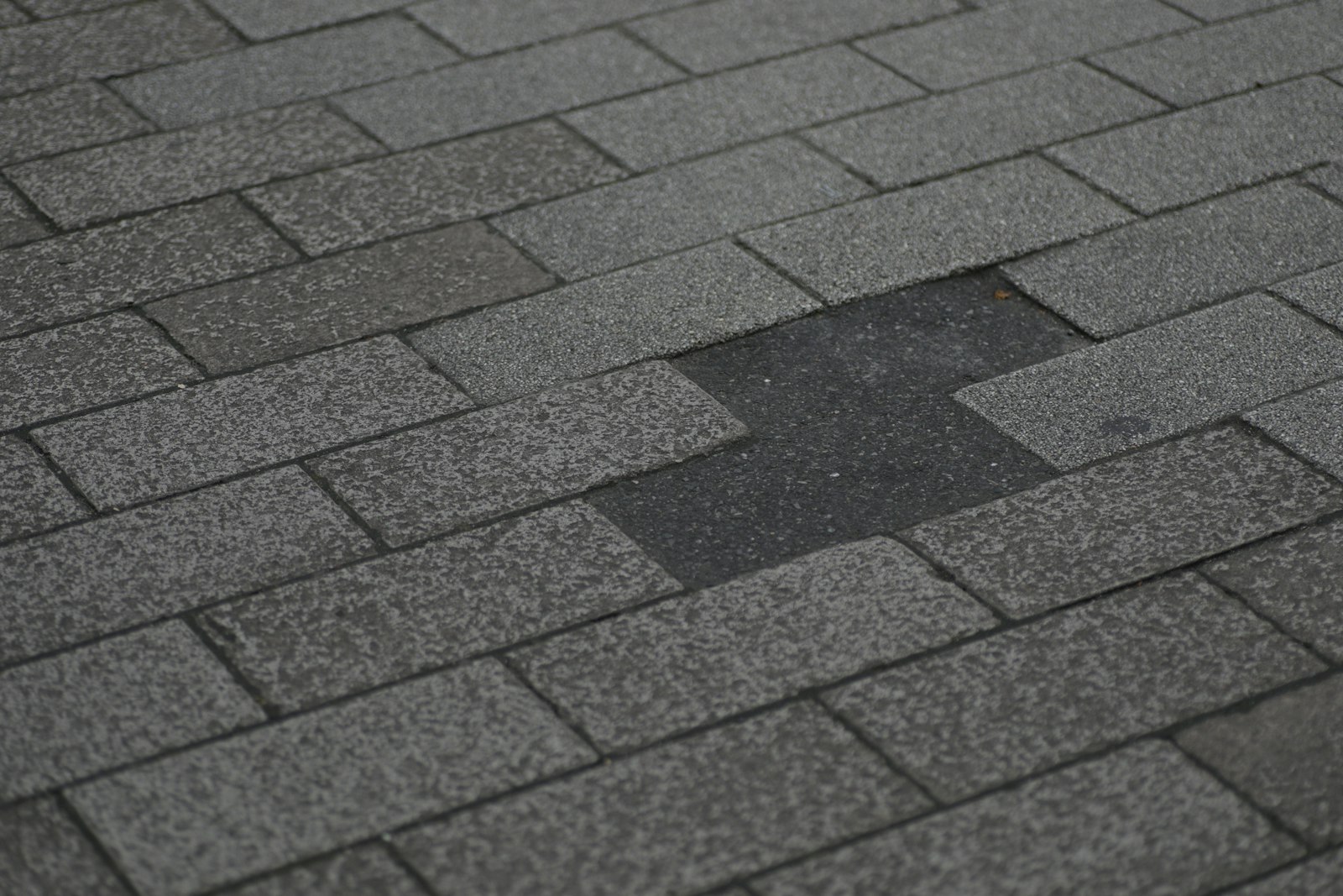 Asphalt shingle roof with shingles lifted and missing after high winds