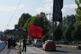 Cars drive past people holding flags on a street.