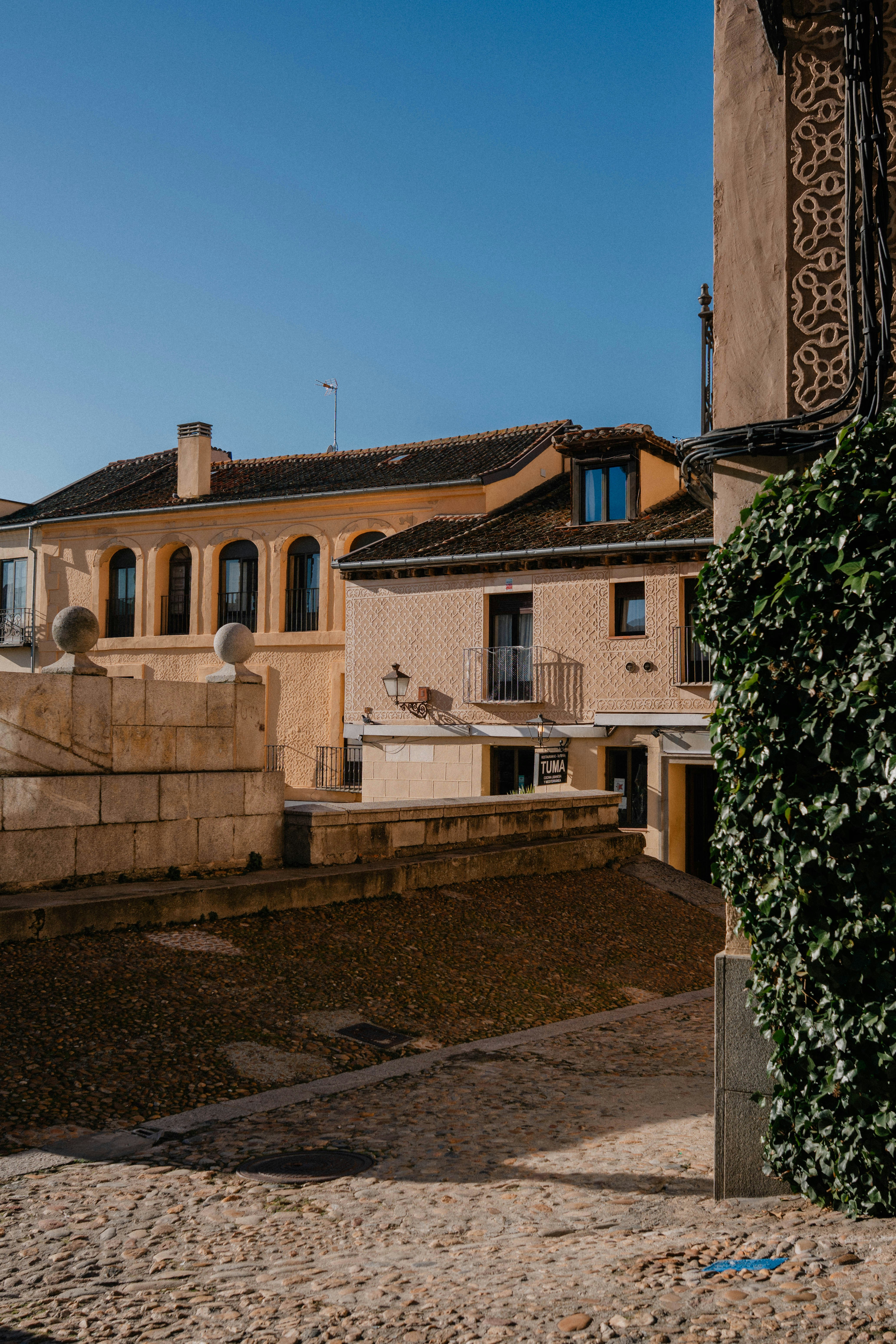 Historic buildings and green ivy under a clear sky.