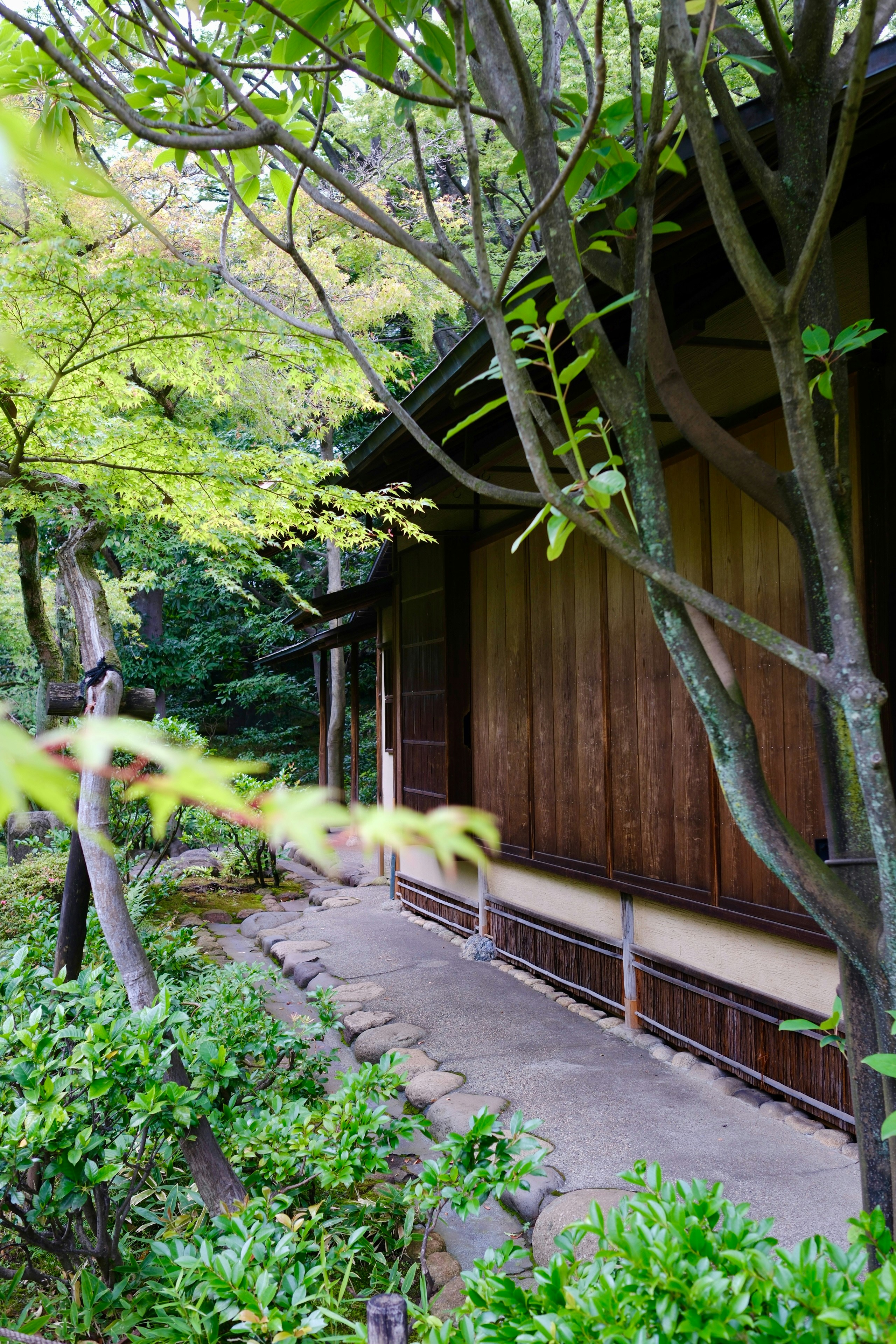 Maison japonaise et chemin de pierre au milieu d’un feuillage luxuriant et verdoyant.