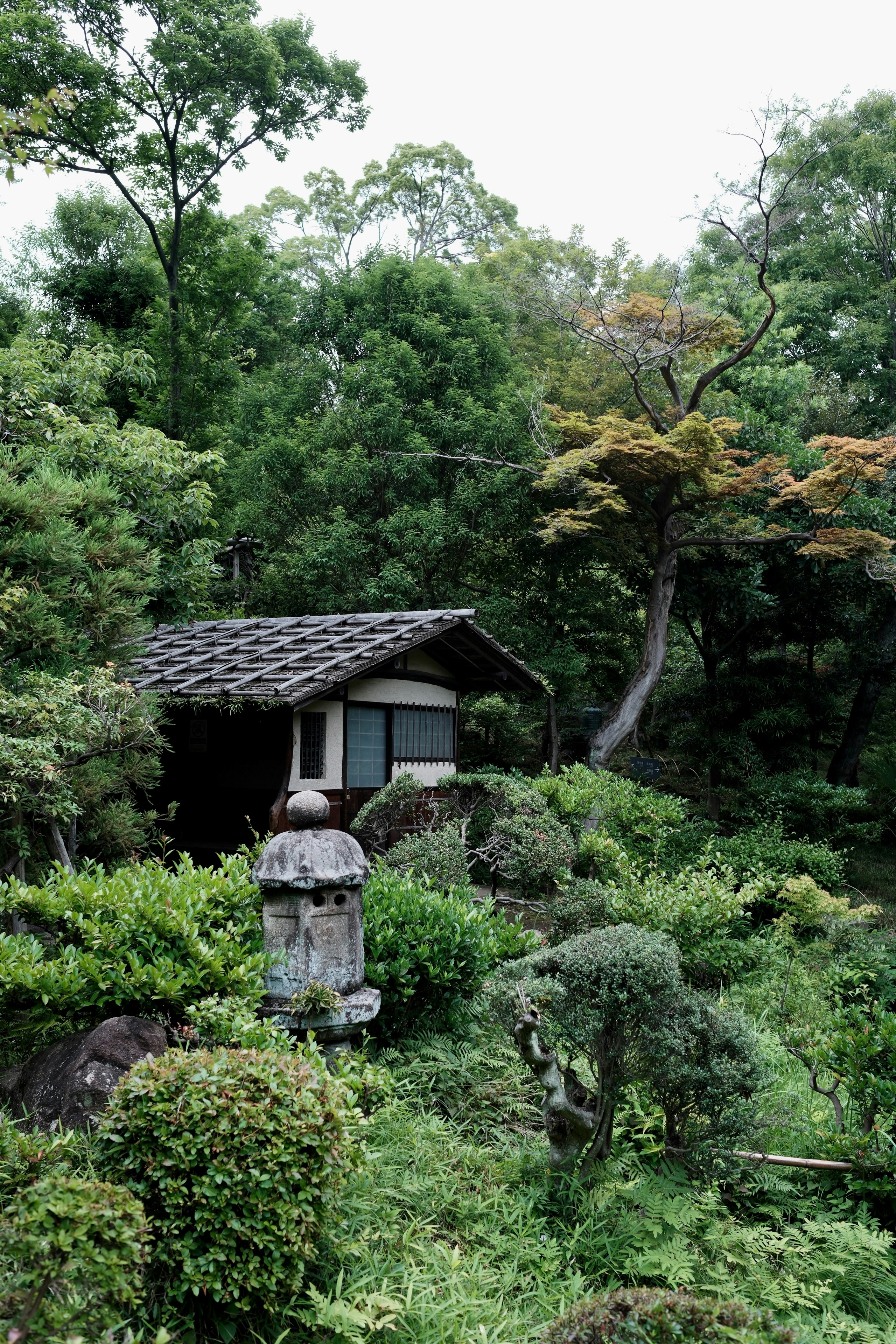 Une cabane japonaise traditionnelle nichée dans un jardin verdoyant.