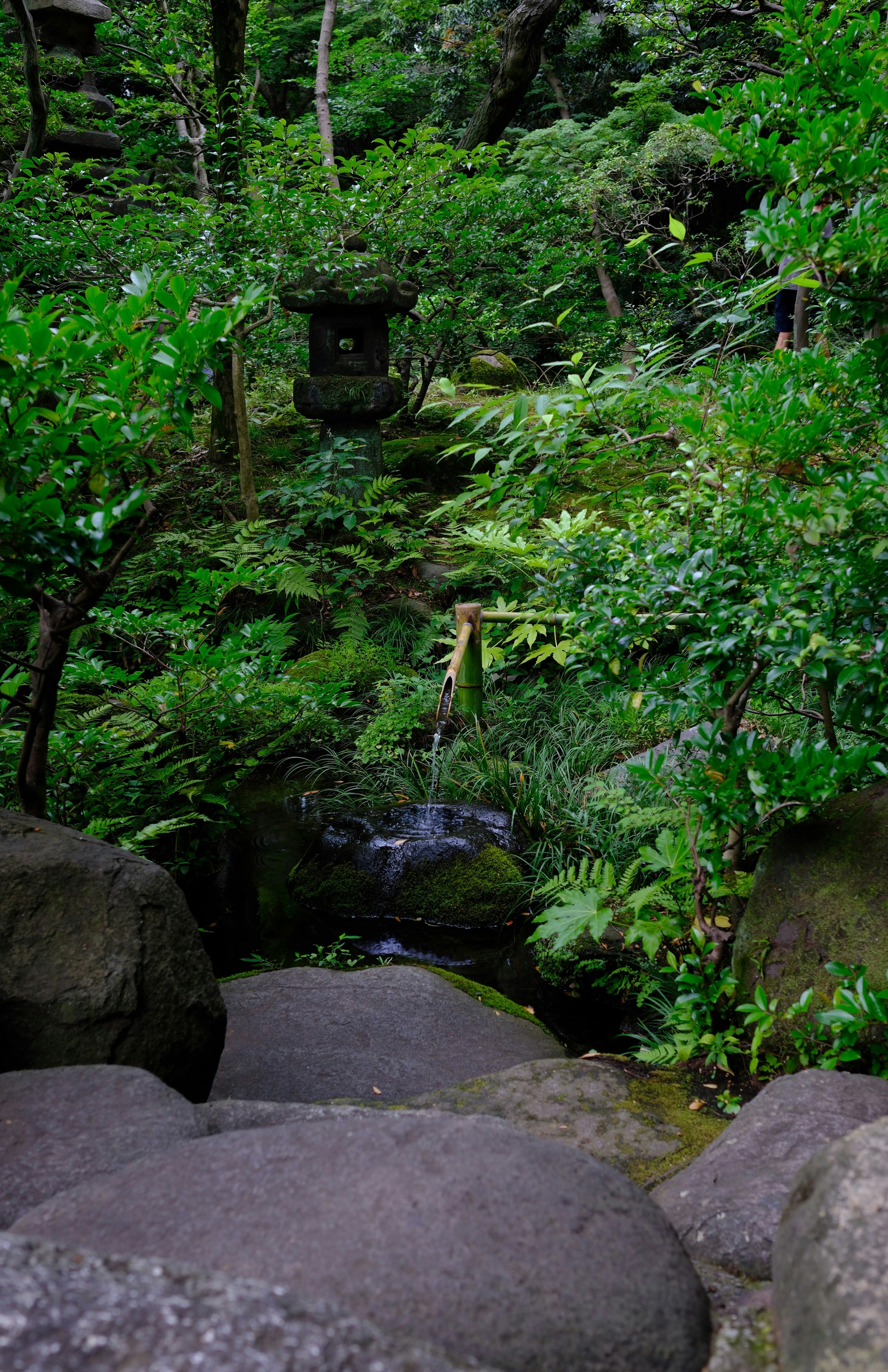 Jardin japonais verdoyant avec une lanterne en pierre et de l’eau.