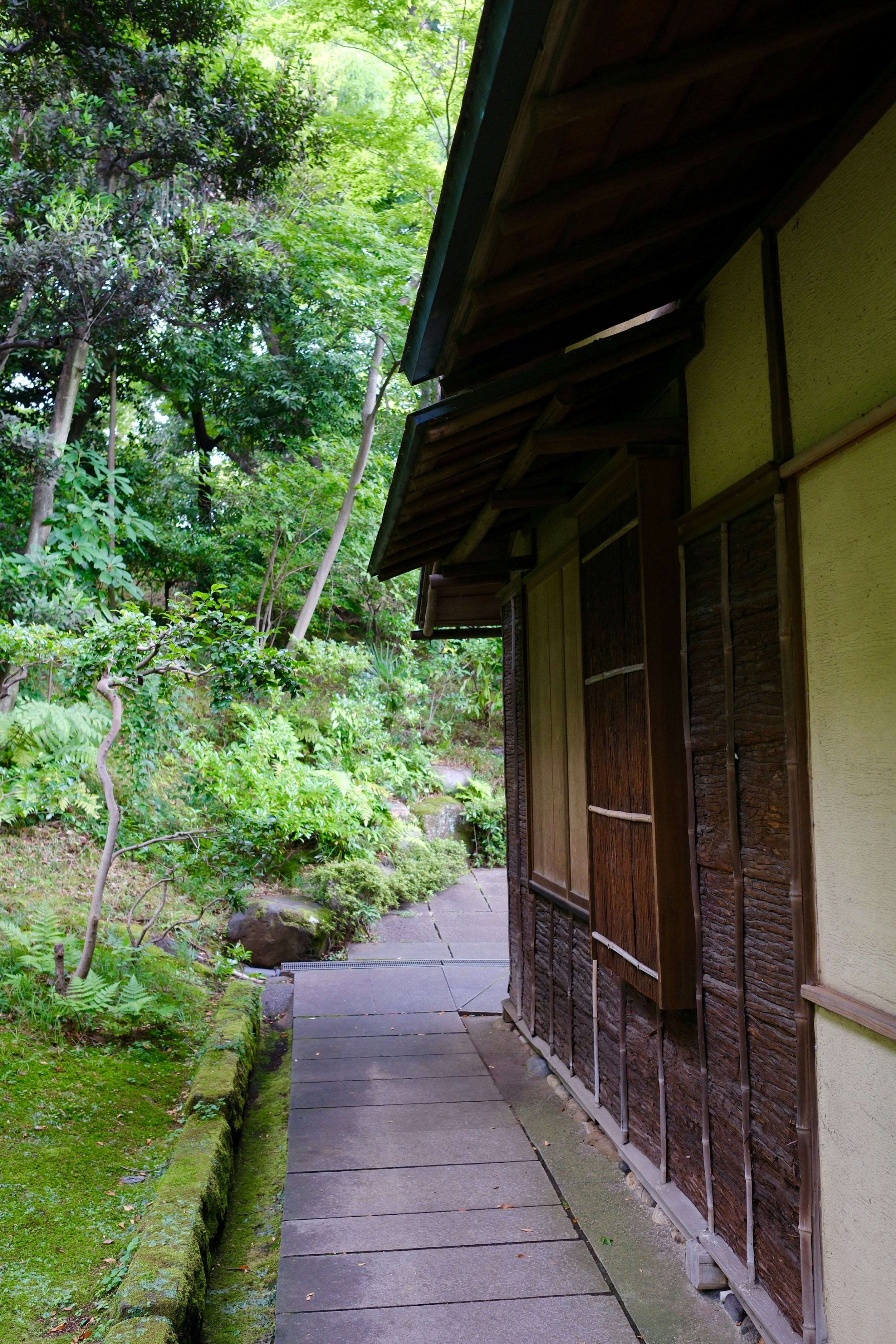 Un chemin en bois le long d’un bâtiment traditionnel dans un jardin vert.