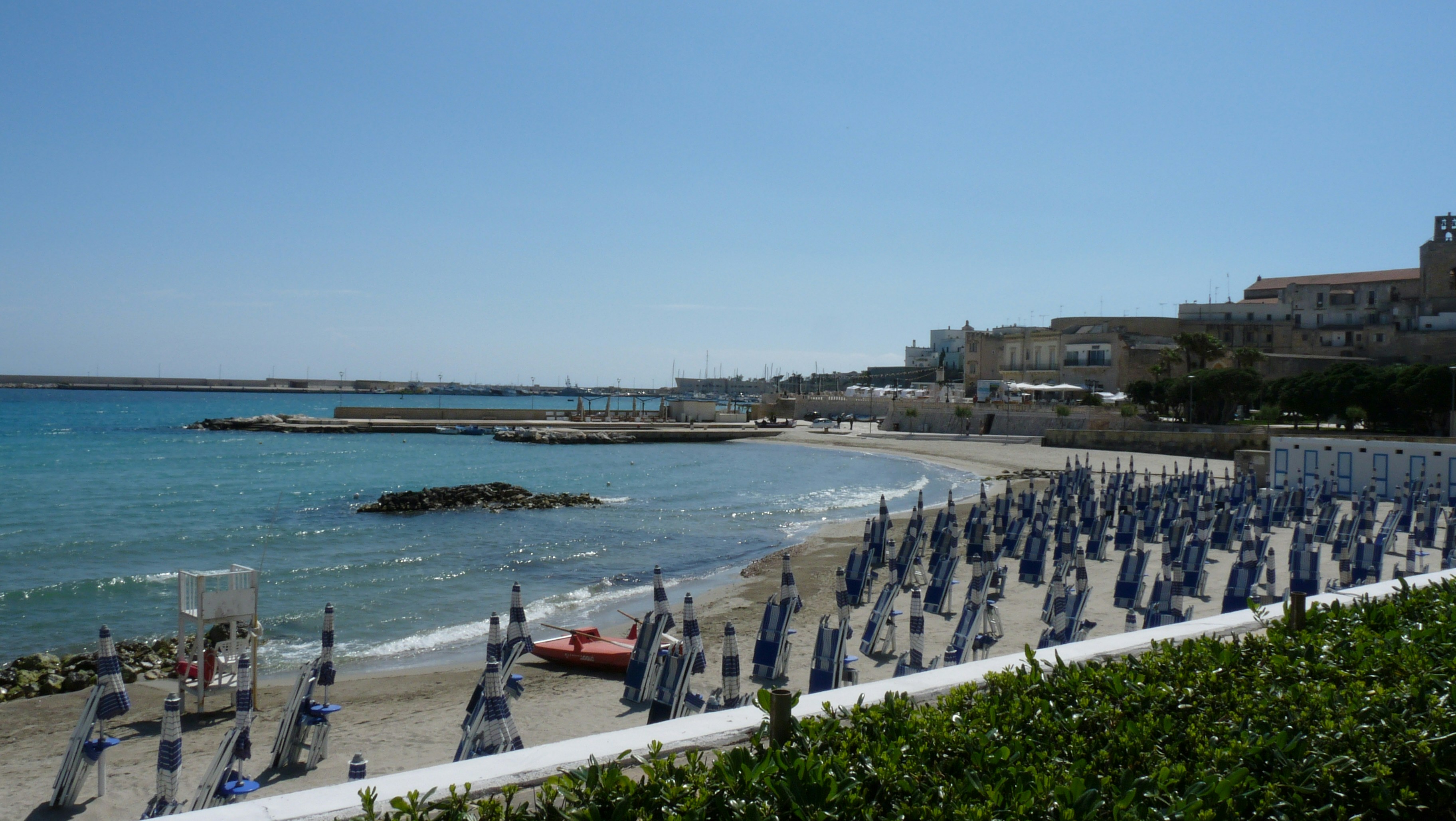 Rows of closed beach umbrellas line a sunny coastal beach.
