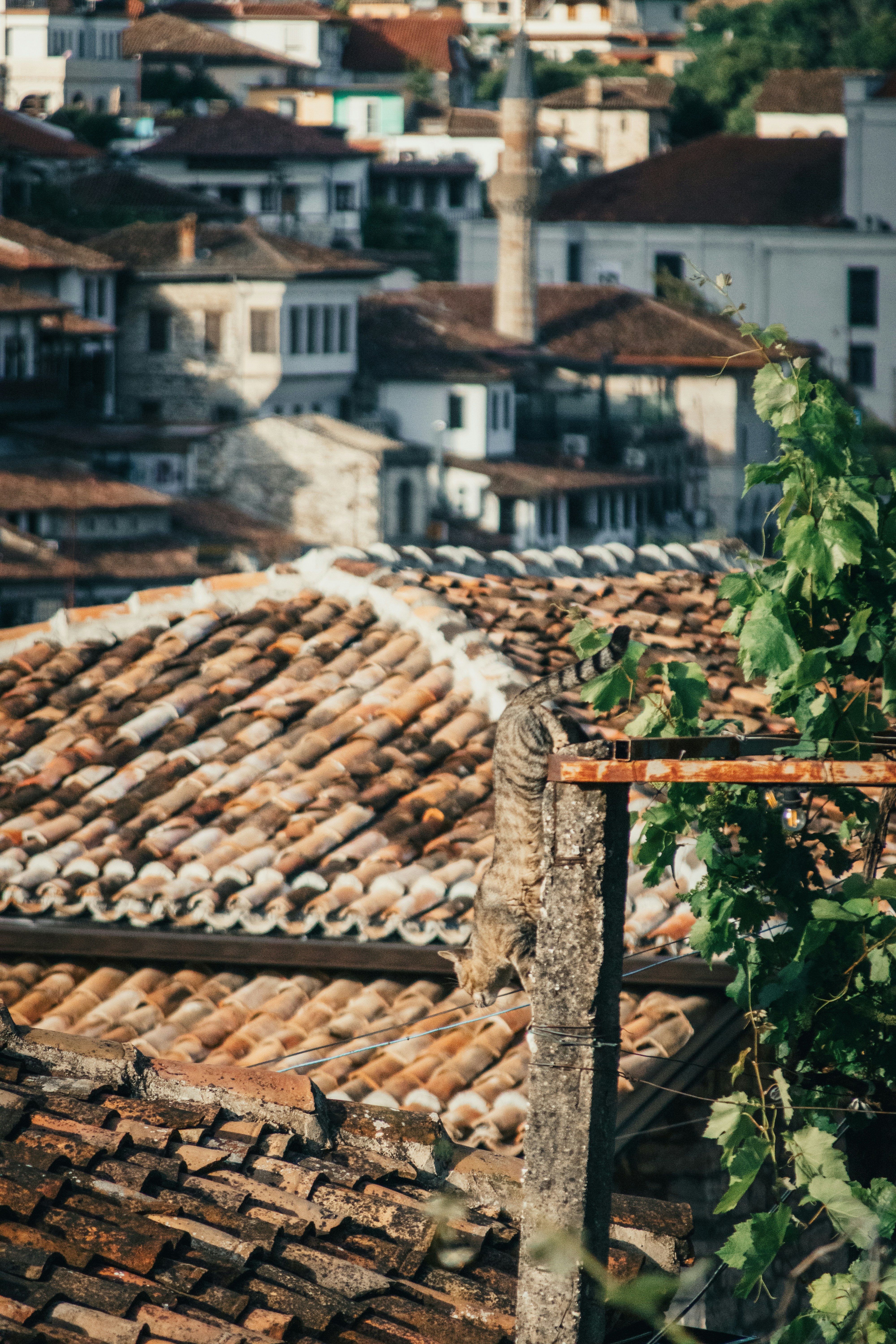 Historic town with tiled rooftops and a minaret under sunlight