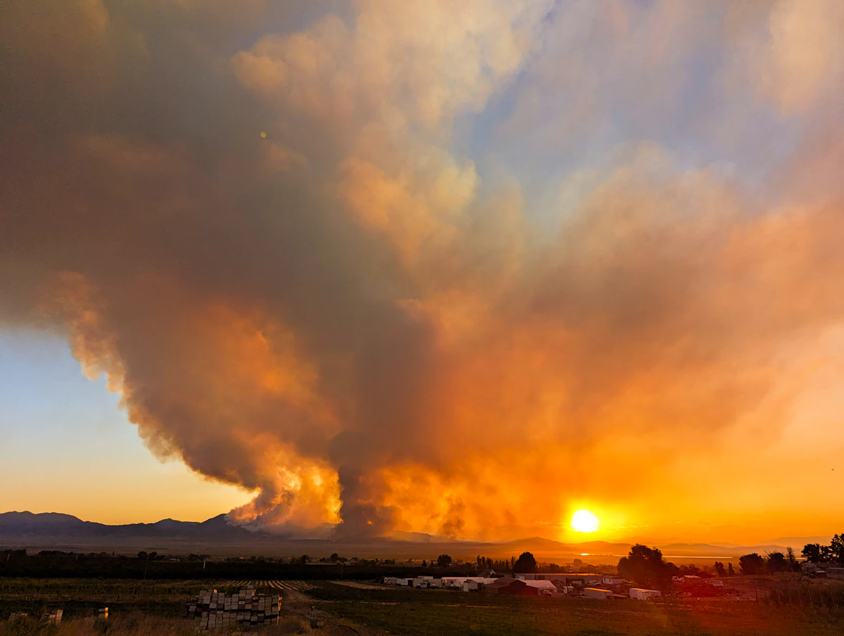 Coluna de fumaça de incêndio florestal ao entardecer