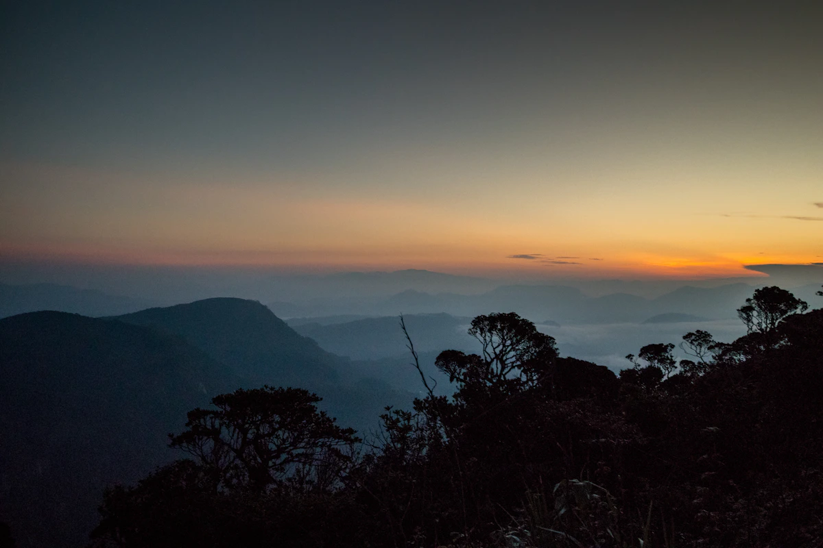 Forest scenery around Adam’s Peak, Sri Lanka