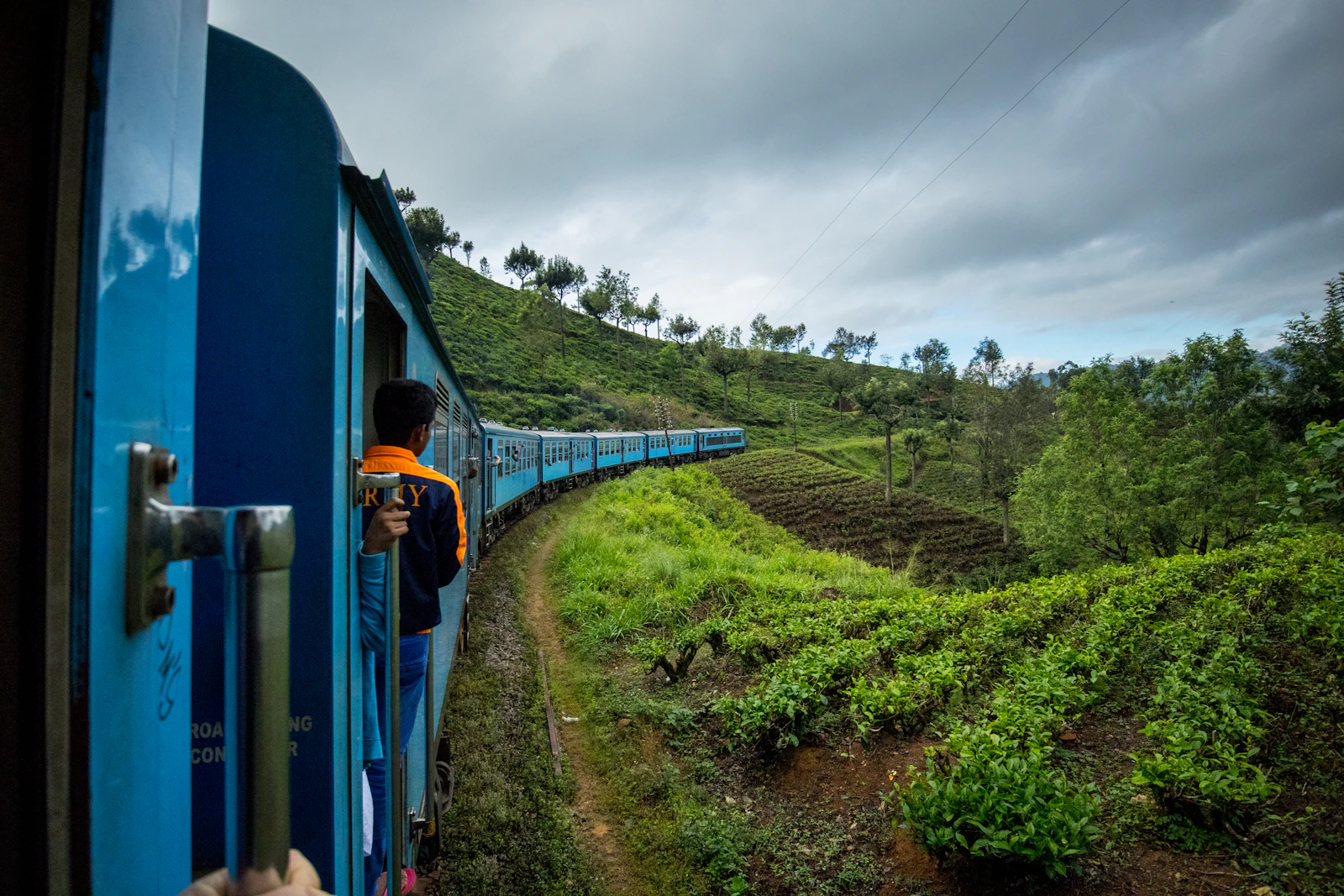 Travel photograph: A blue passenger train curves through vivid green tea fields.