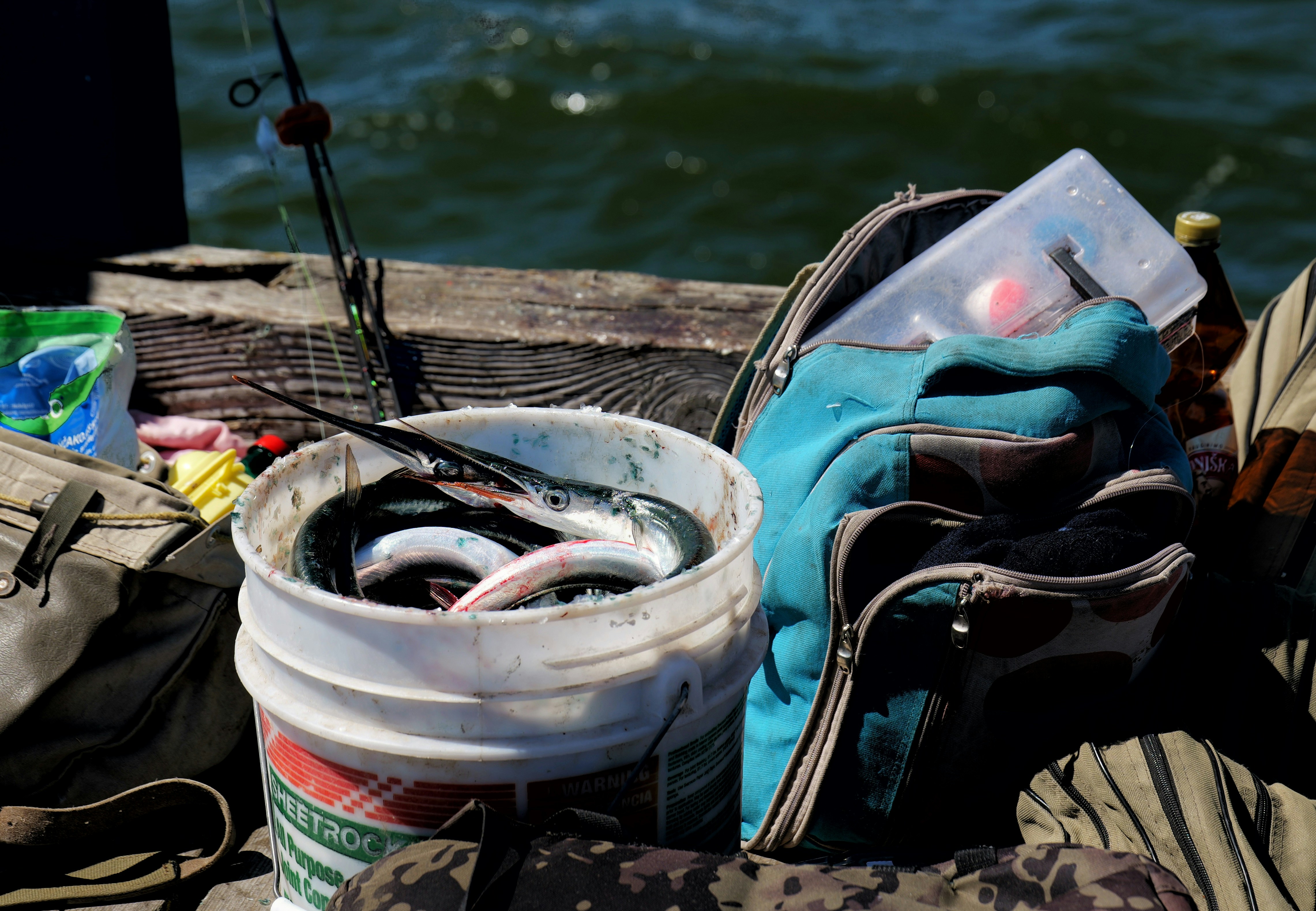A bucket full of fish next to fishing supplies.