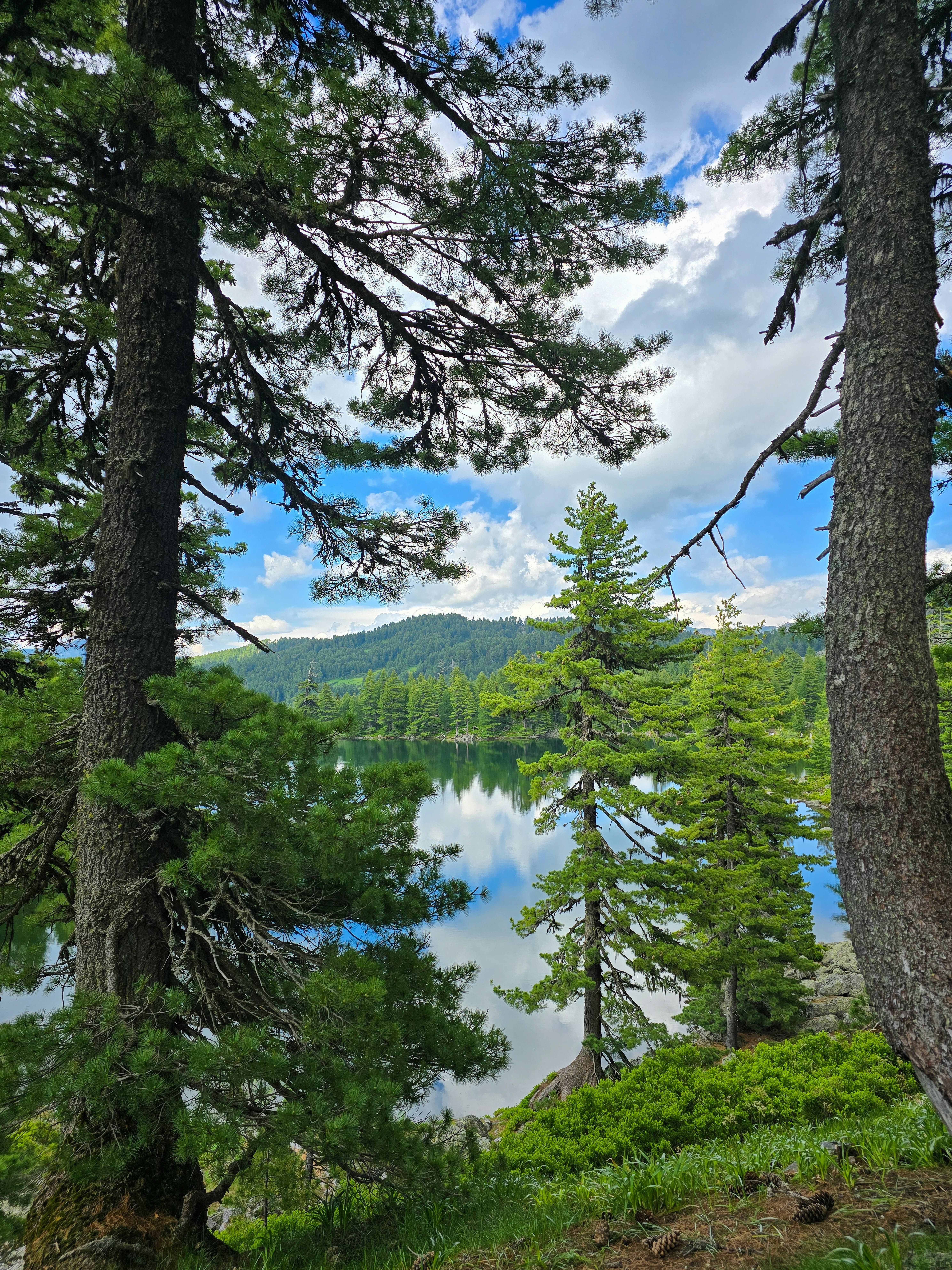 Serene lake reflecting cloudy sky and surrounding pine trees.