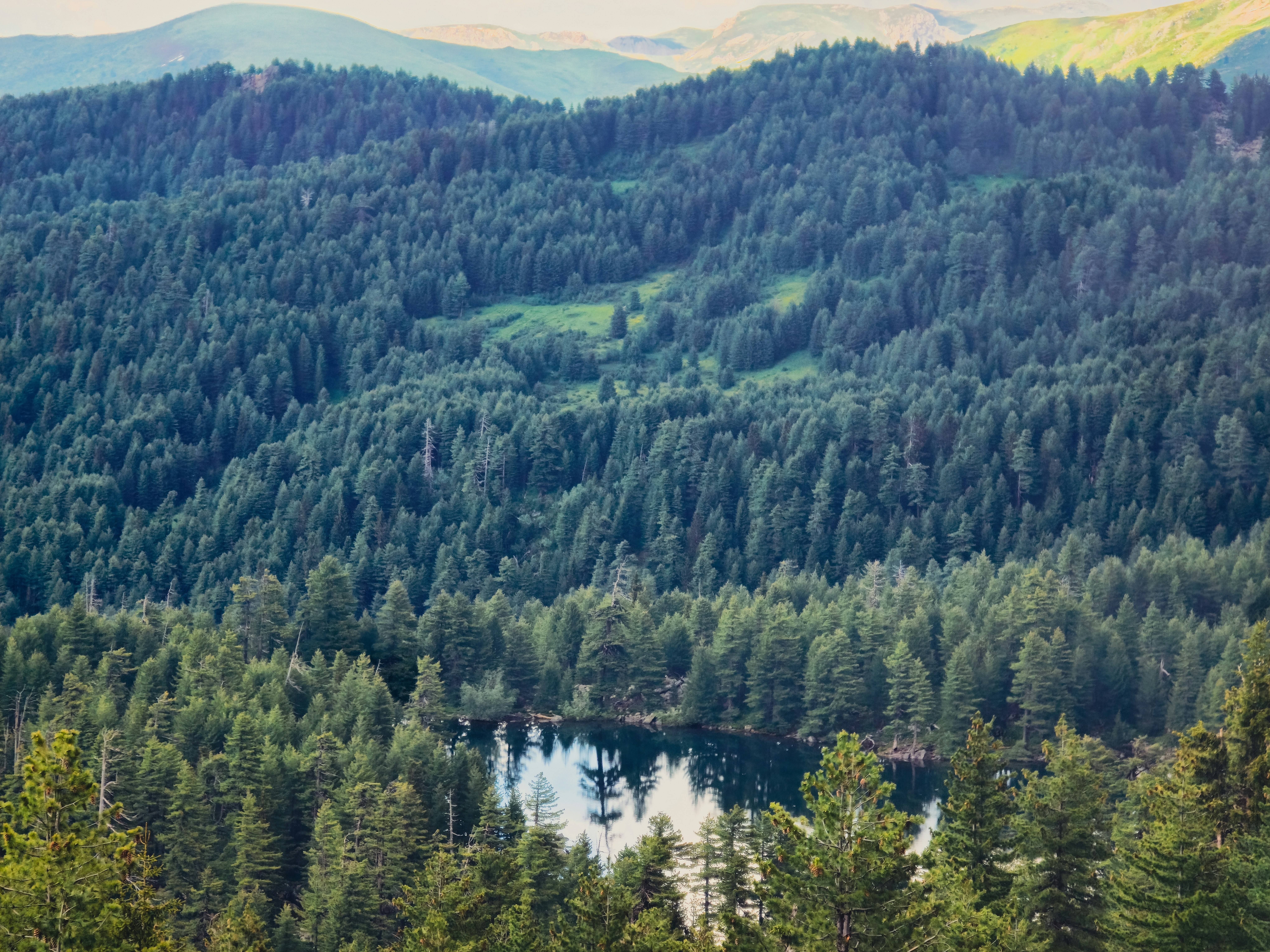 Dense green forest covers hills around a small, reflective lake.