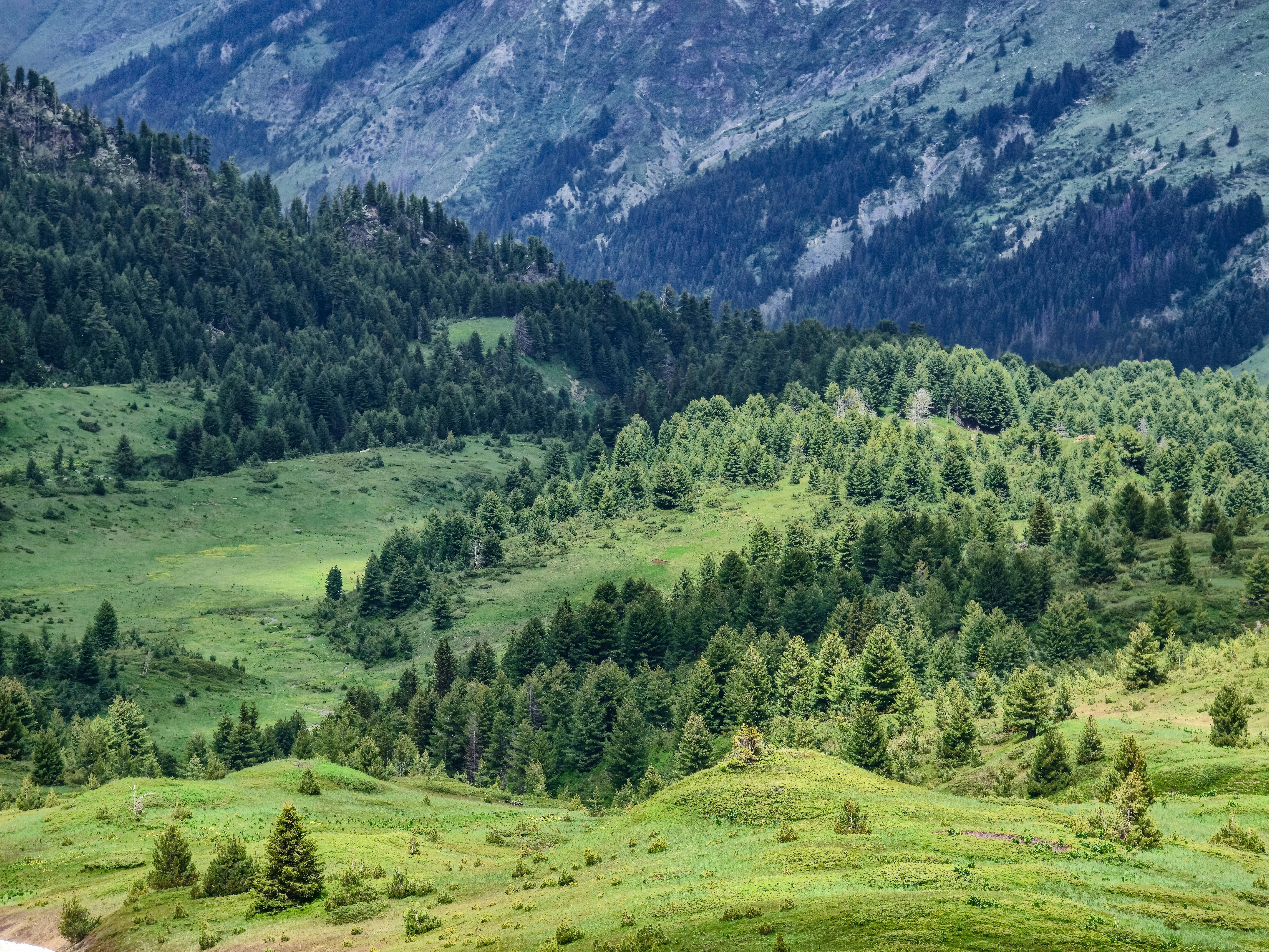 Green valleys and forests in a mountainous landscape.