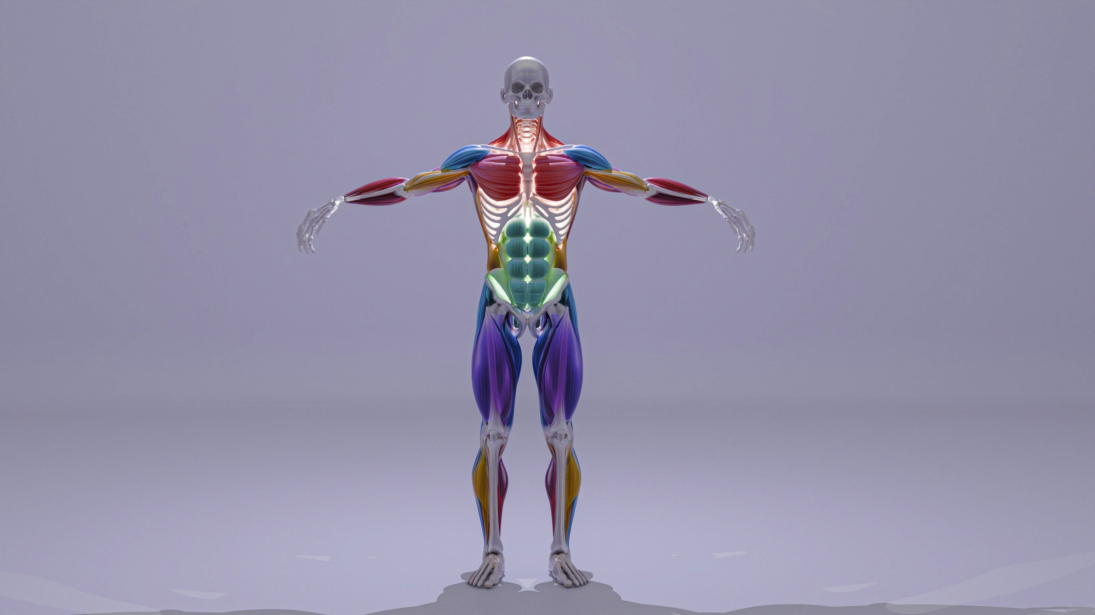 healthy male anatomy concept, wallpaper, Kesehatan Prostat: Cara Menjaga dan Gejala yang Wajib Diketahui 2
