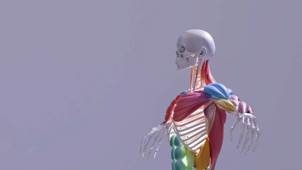 Streamline Chiropractic Proposals in 2026 (Free Template)