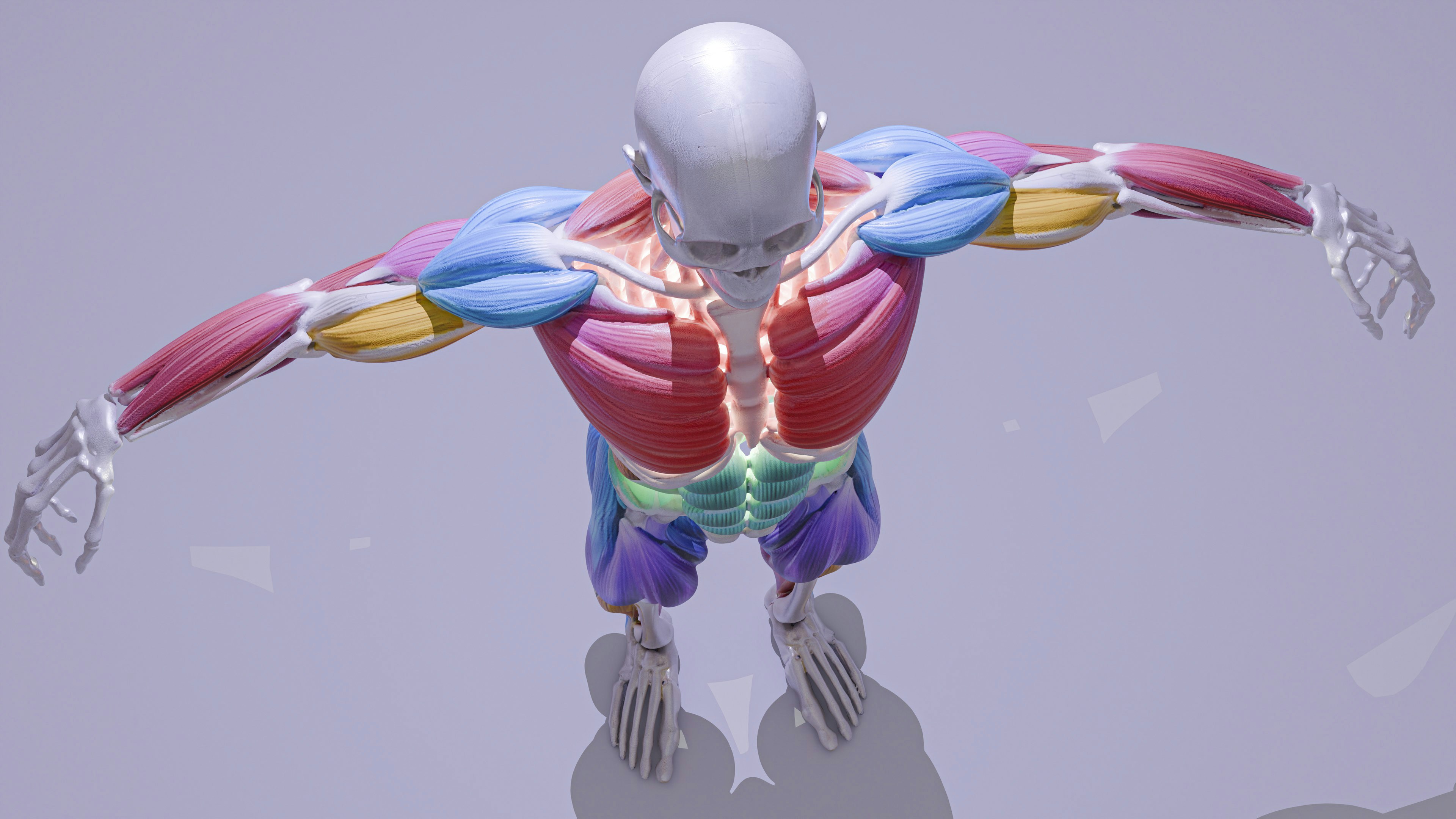 3D biomechanics swing analysis on a mobile app screen