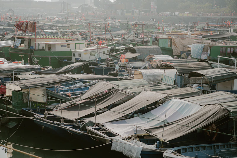 A crowded harbor full of covered fishing boats
