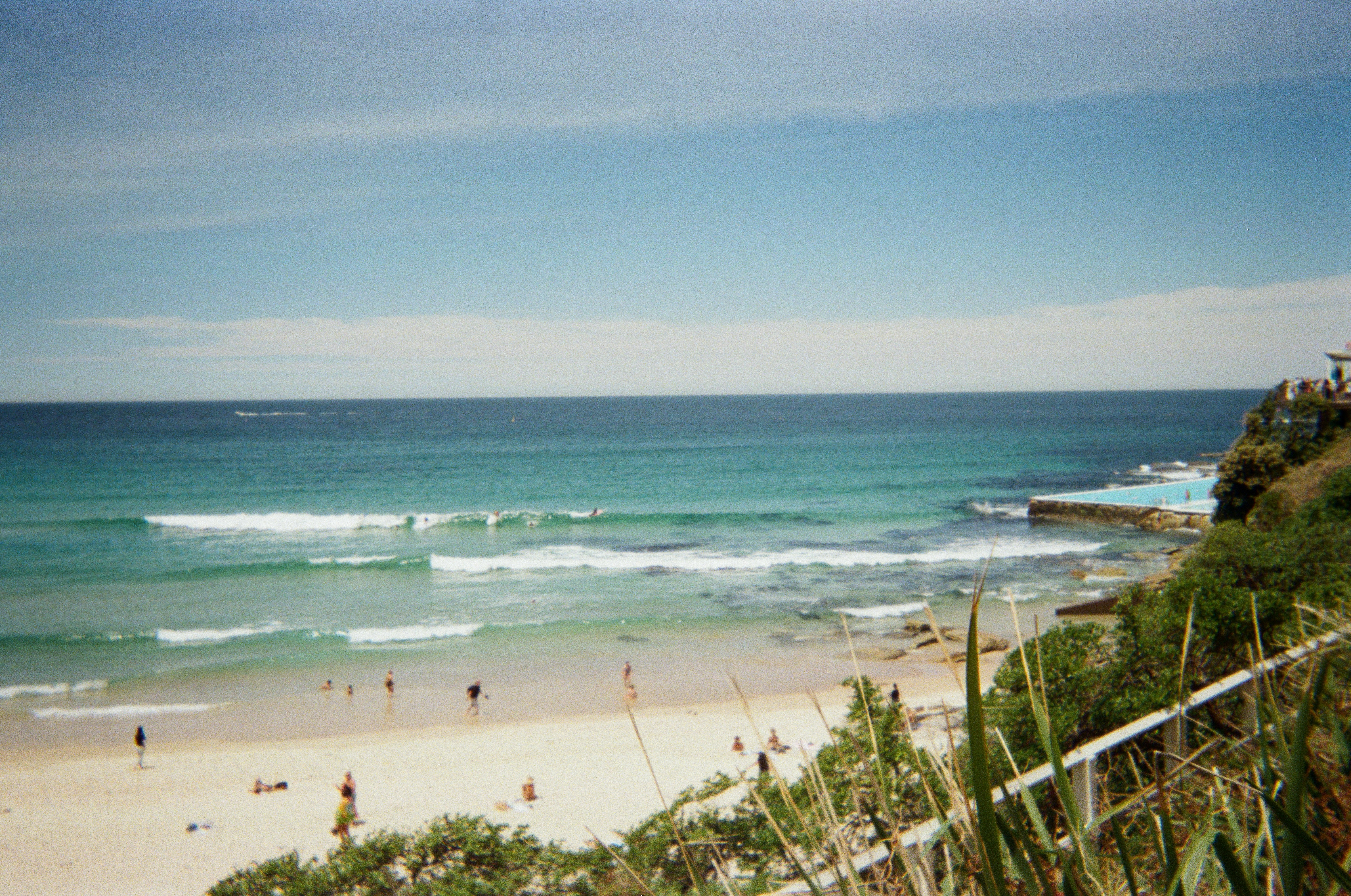 Morning in Bondi
