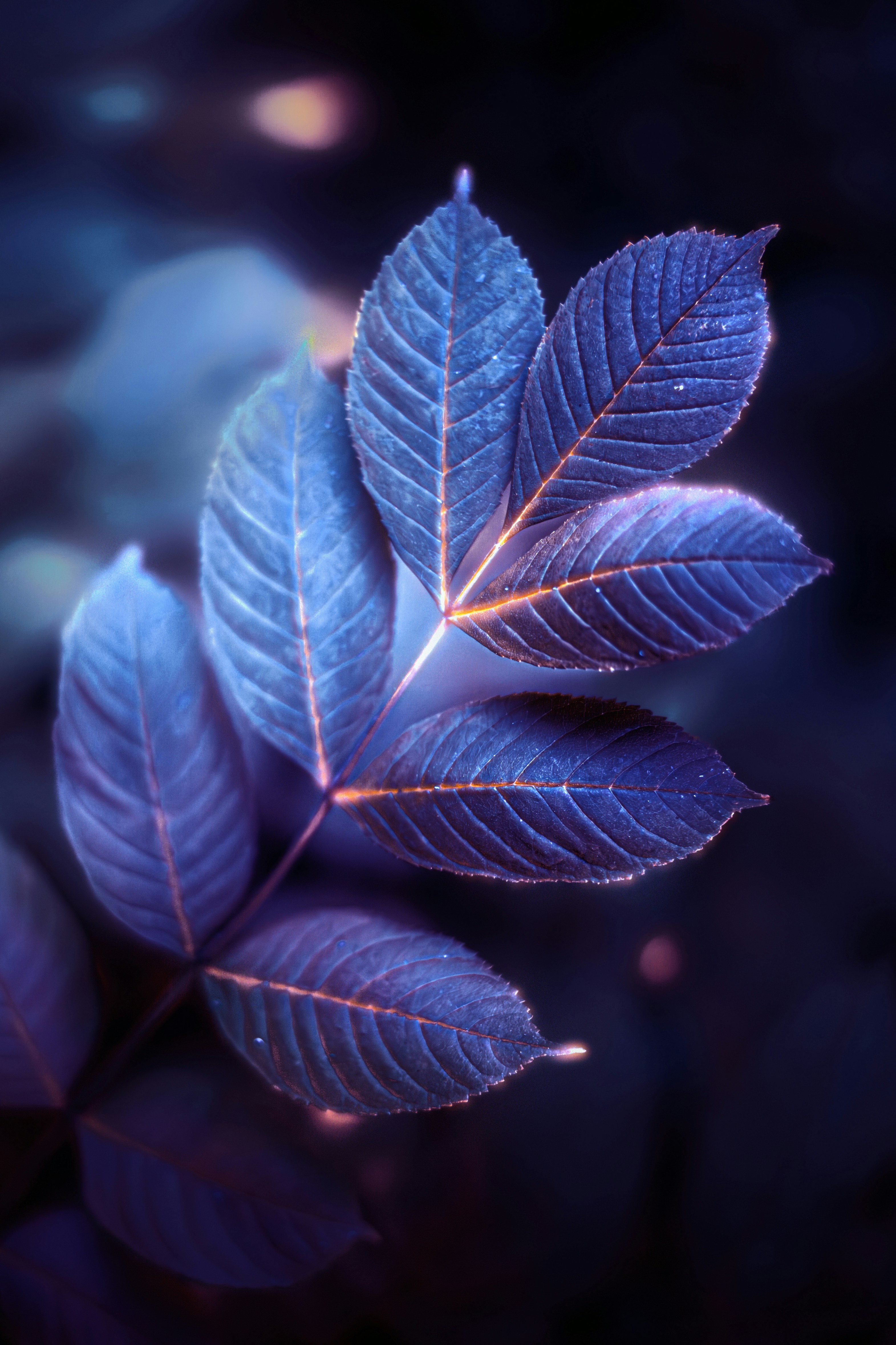 Blue and purple leaves with glowing veins, reminiscent of pandora