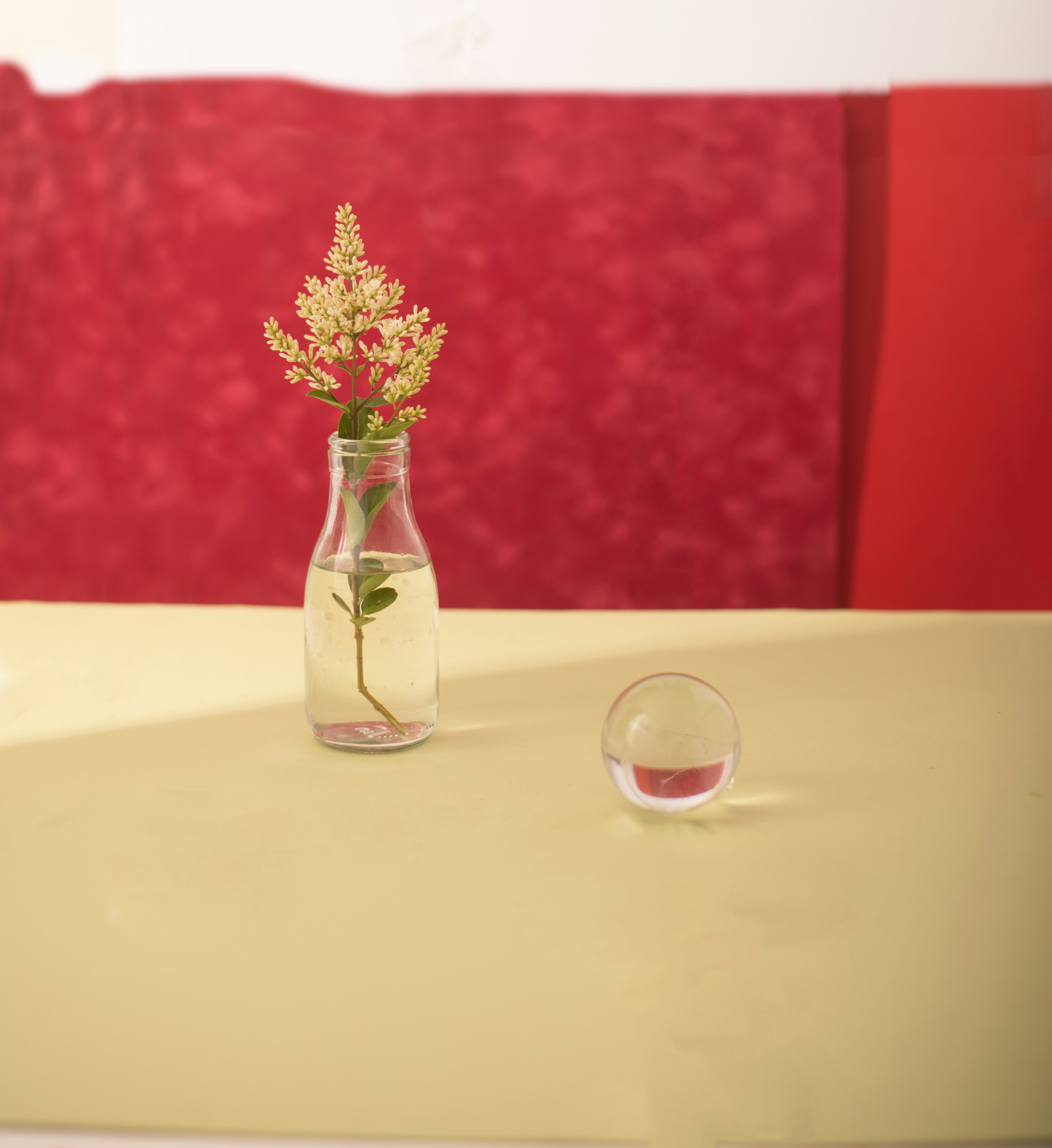 Flower in glass bottle and orb on yellow surface.