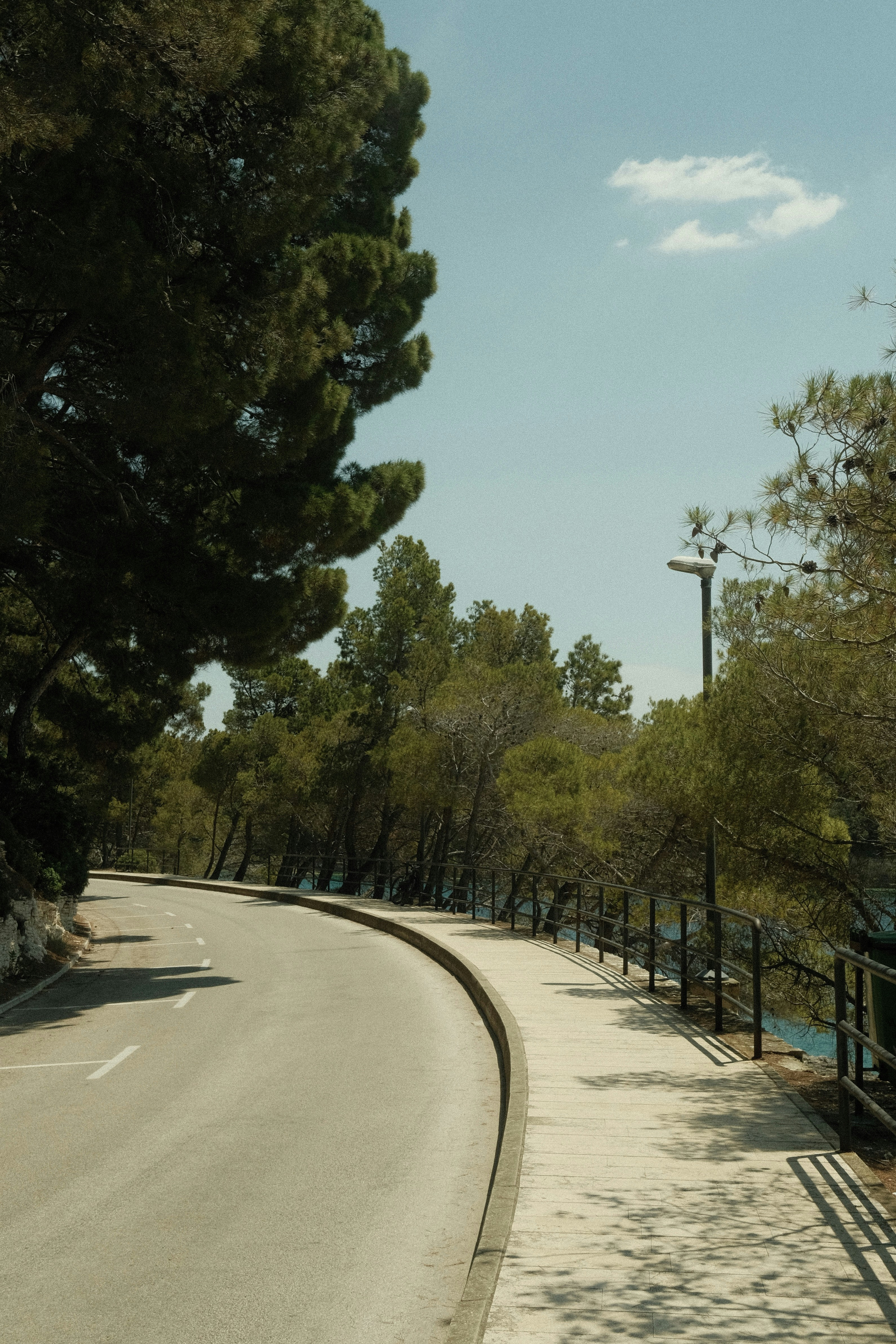 A curved road and sidewalk along a tree-lined coast.