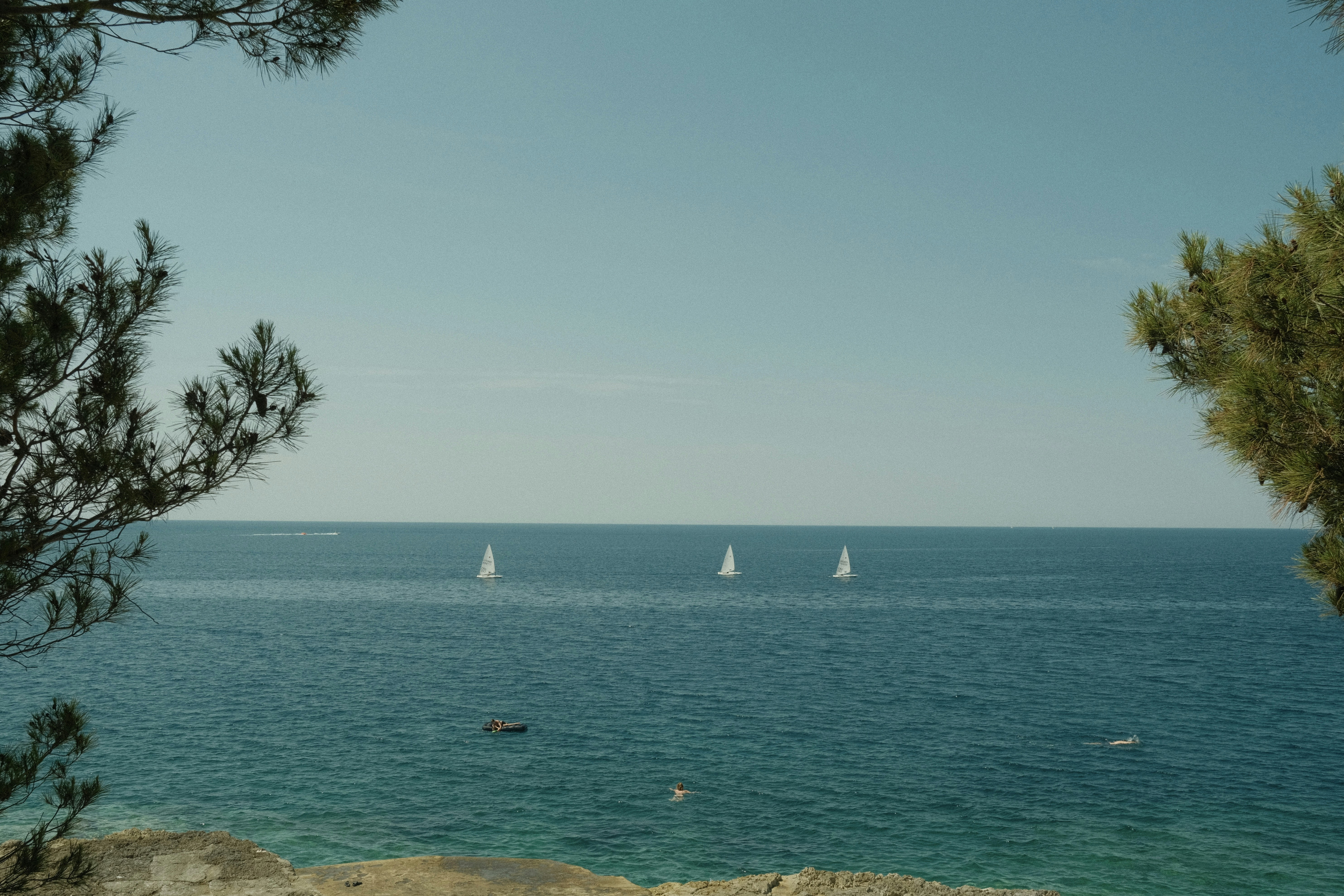 Sailboats on a calm blue sea framed by trees.