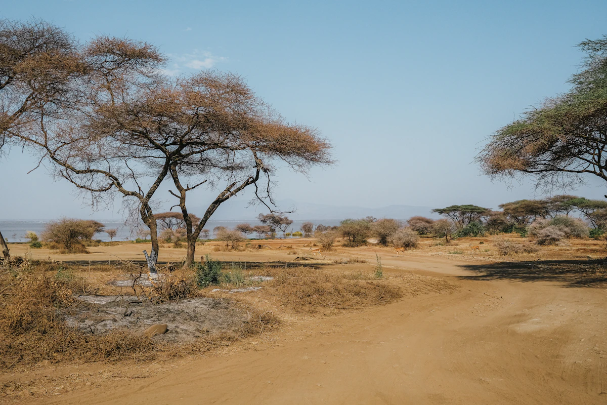 Lac Tanganyika