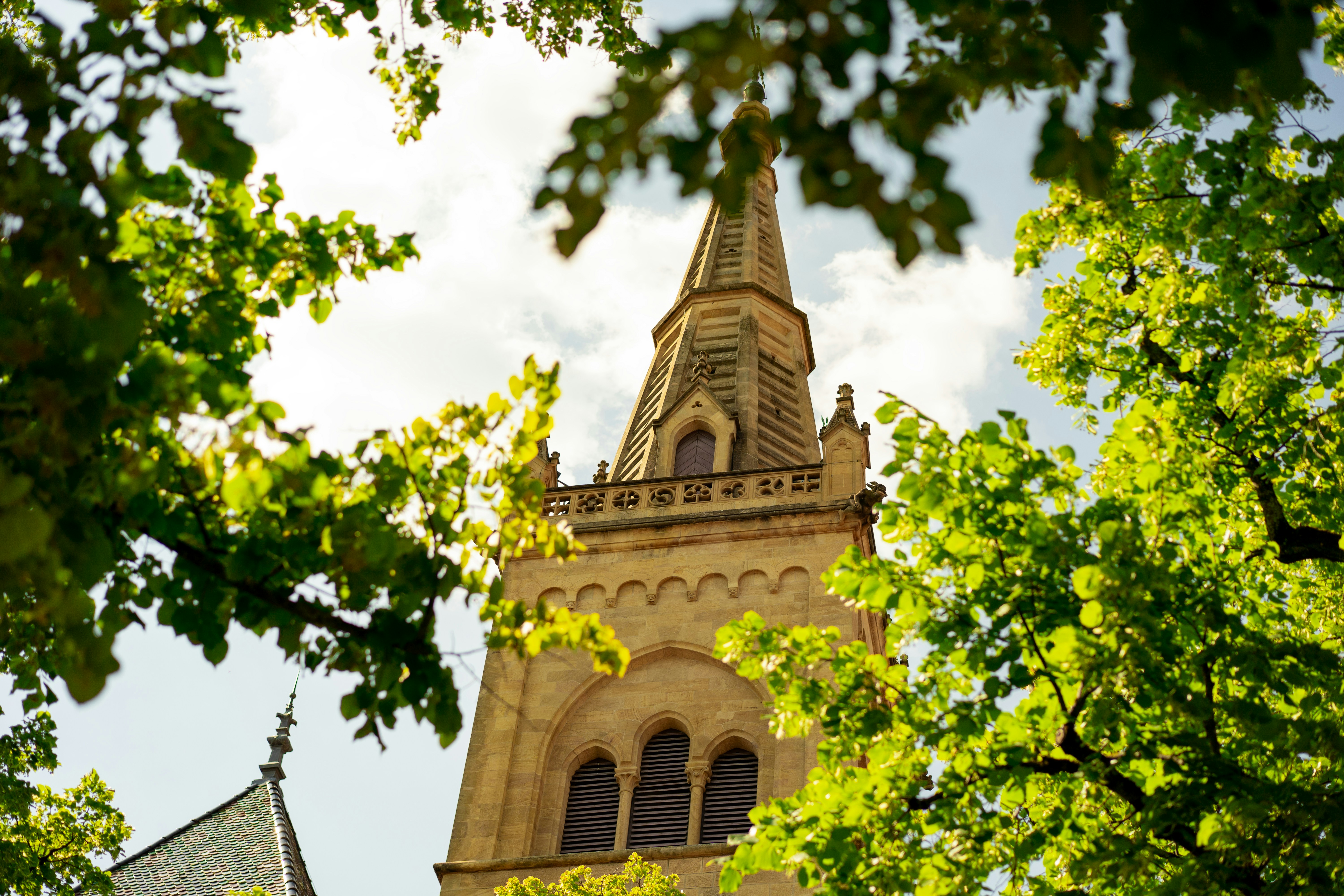 Historic stone church steeple peeking through vibrant green foliage.